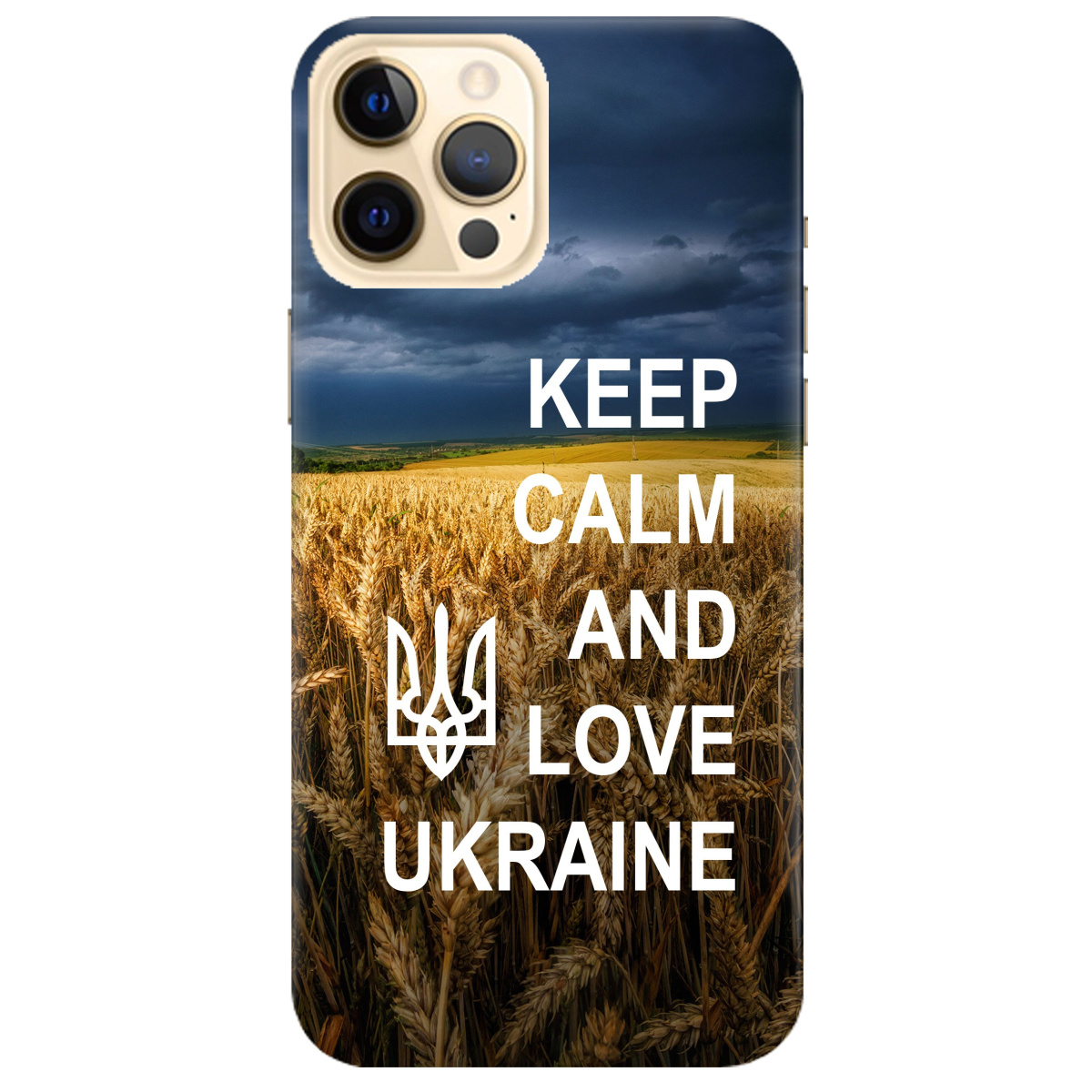 Чехол для Apple iPhone 12 Pro Keep calm - фото 1
