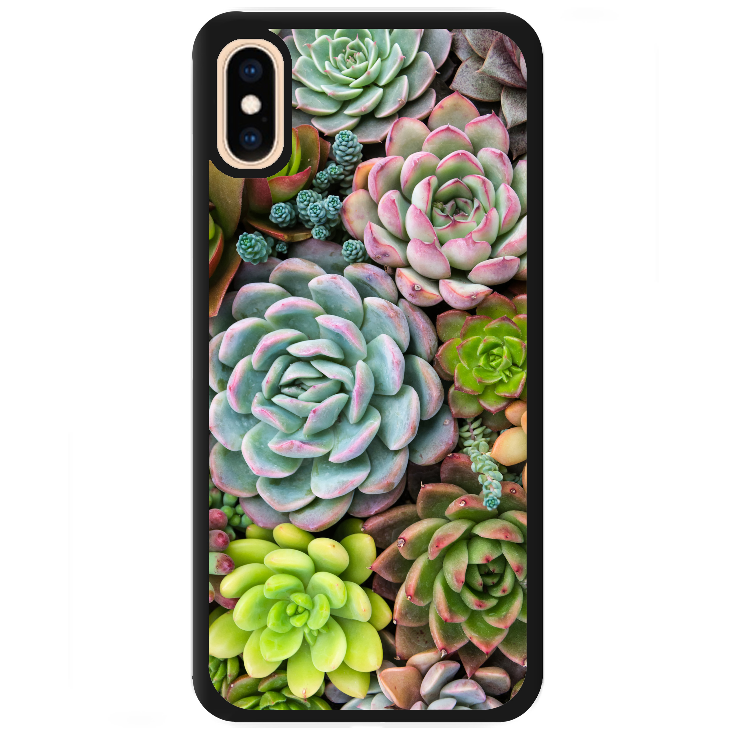 Чехол для Apple iPhone XS Max пластиковый с чёрными силиконовыми бортиками Succulents - фото 1 - Чехлы для телефонов