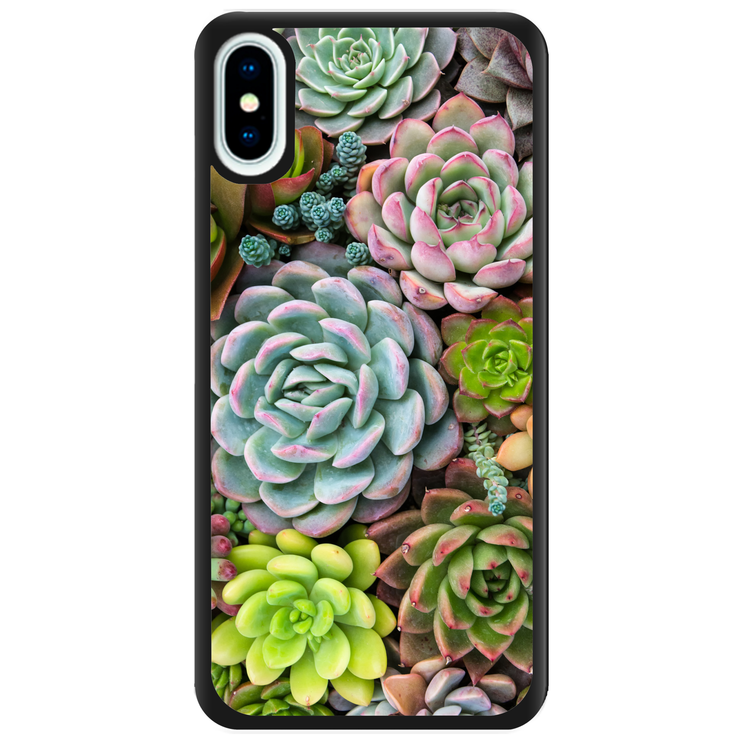 Чохол для Apple iPhone X 2D пластиковий з чорними силіконовими бортиками Succulents - фото 1 Чохол для Apple iPhone X 2D пластиковий з чорними силіконовими бортиками Succulents - фото 1 - Чохли для телефонів