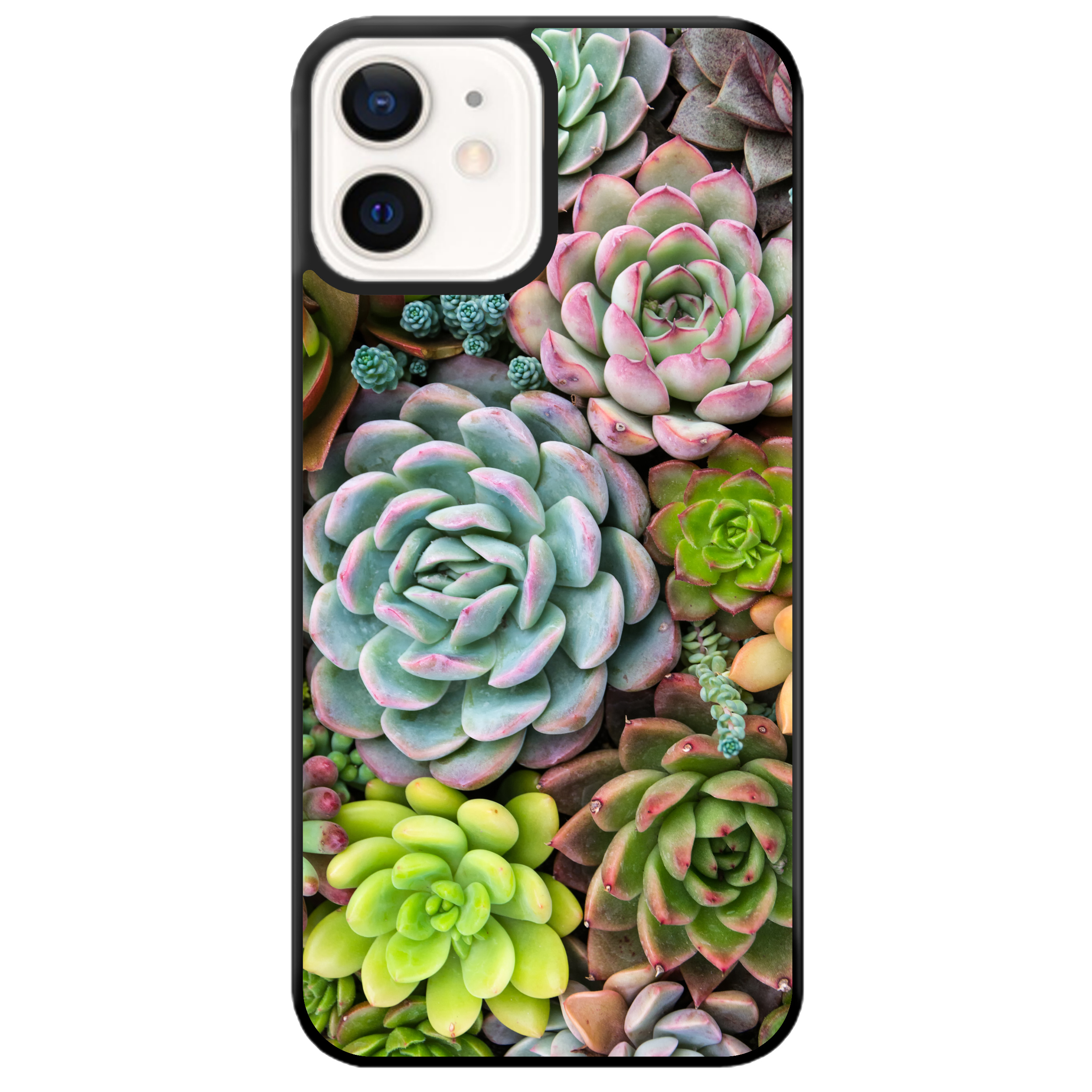 Чехол для Apple iPhone 12 Mini пластиковый с чёрными силиконовыми бортиками Succulents - фото 1 - Чехлы для телефонов