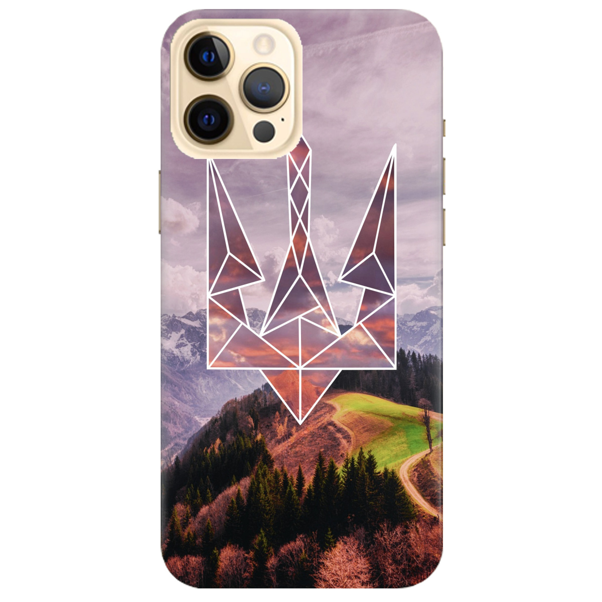 Чехол для Apple iPhone 12 Pro Max Ukraine - фото 1 Чехол для Apple iPhone 12 Pro Max Ukraine - фото 1 - Чехлы для телефонов