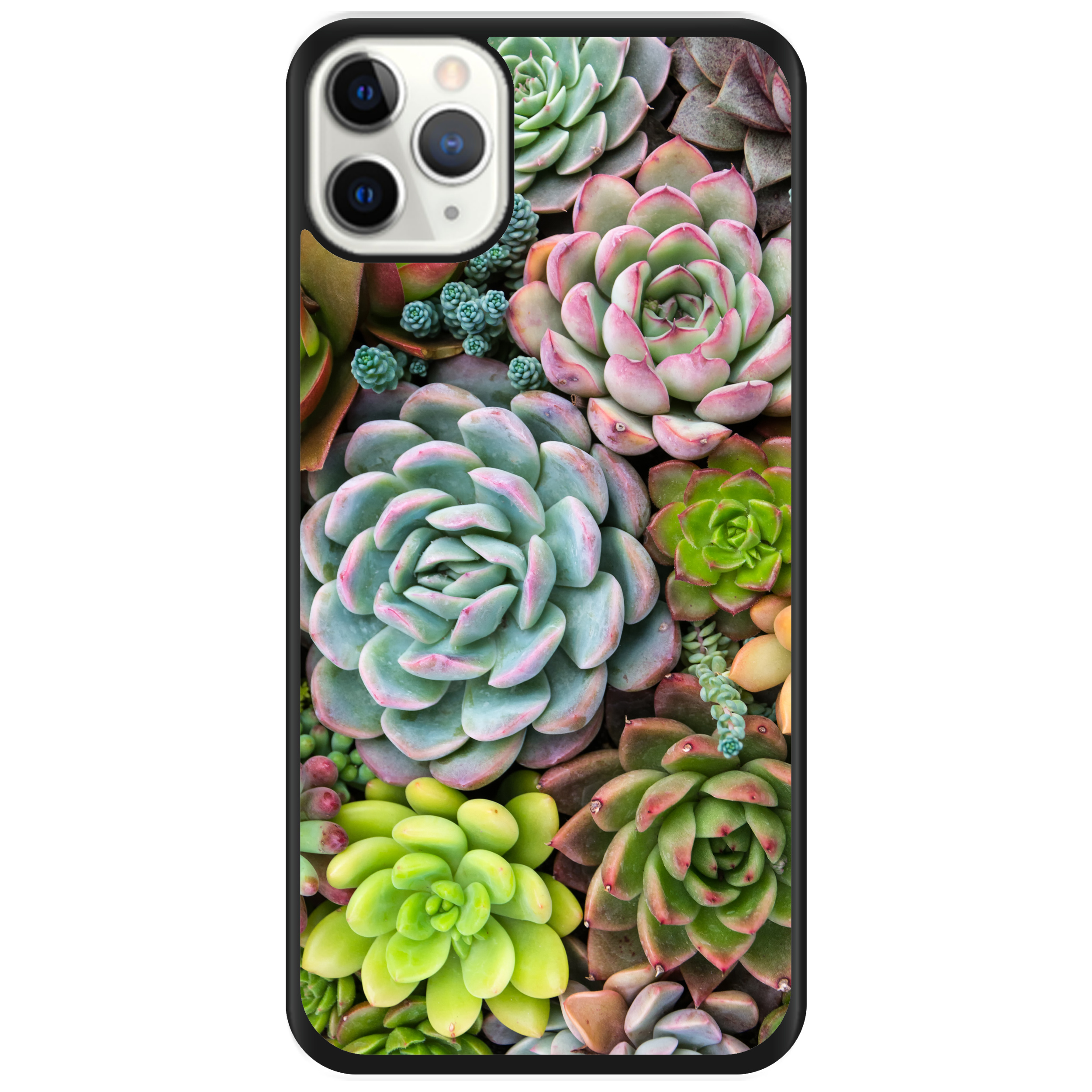 Чехол для Apple iPhone 11 Pro пластиковый с чёрными силиконовыми бортиками Succulents - фото 1 - Чехлы для телефонов