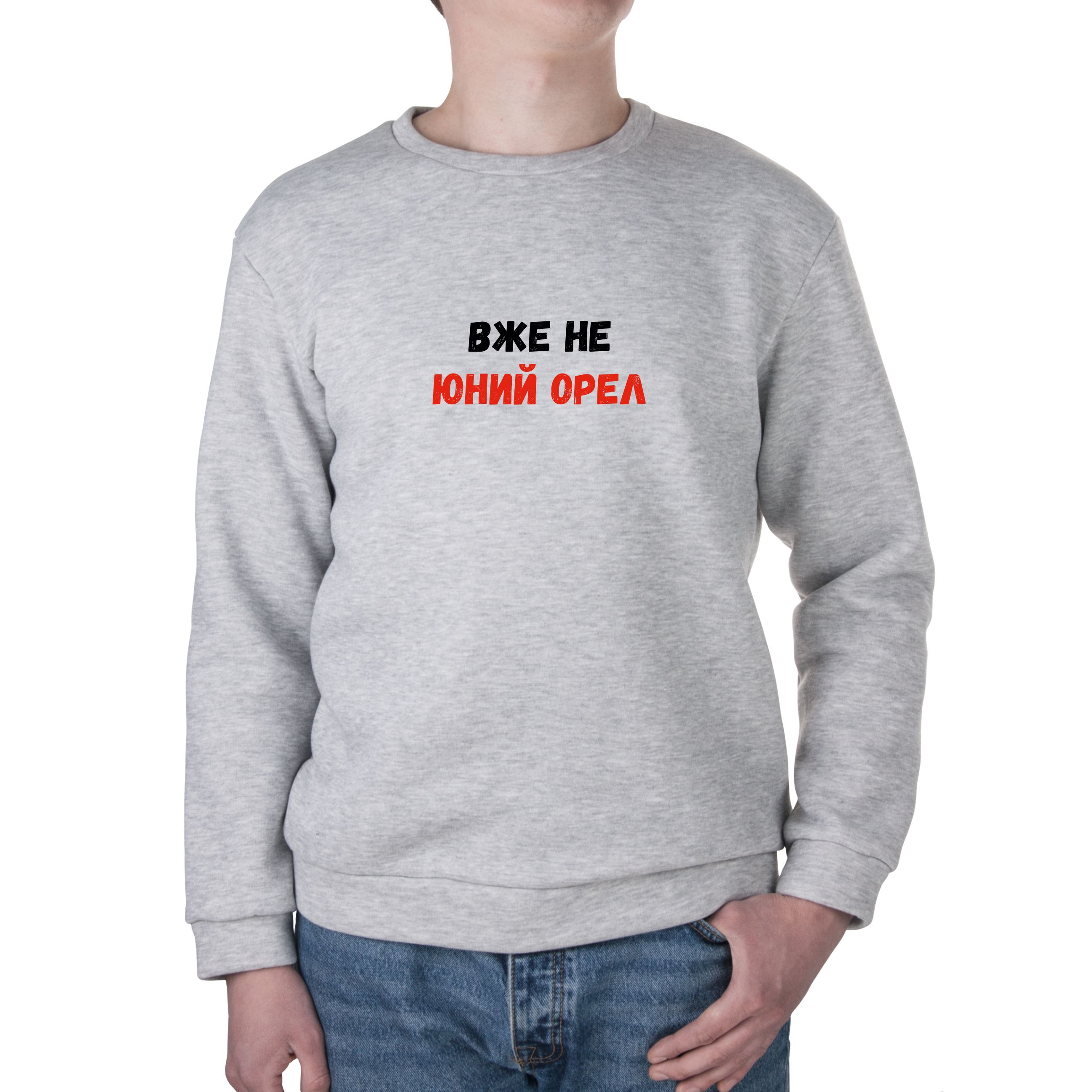 Світшот унісекс тринитка з начісом сірий Юний Орел XL - фото 1 - Худі, світшоти