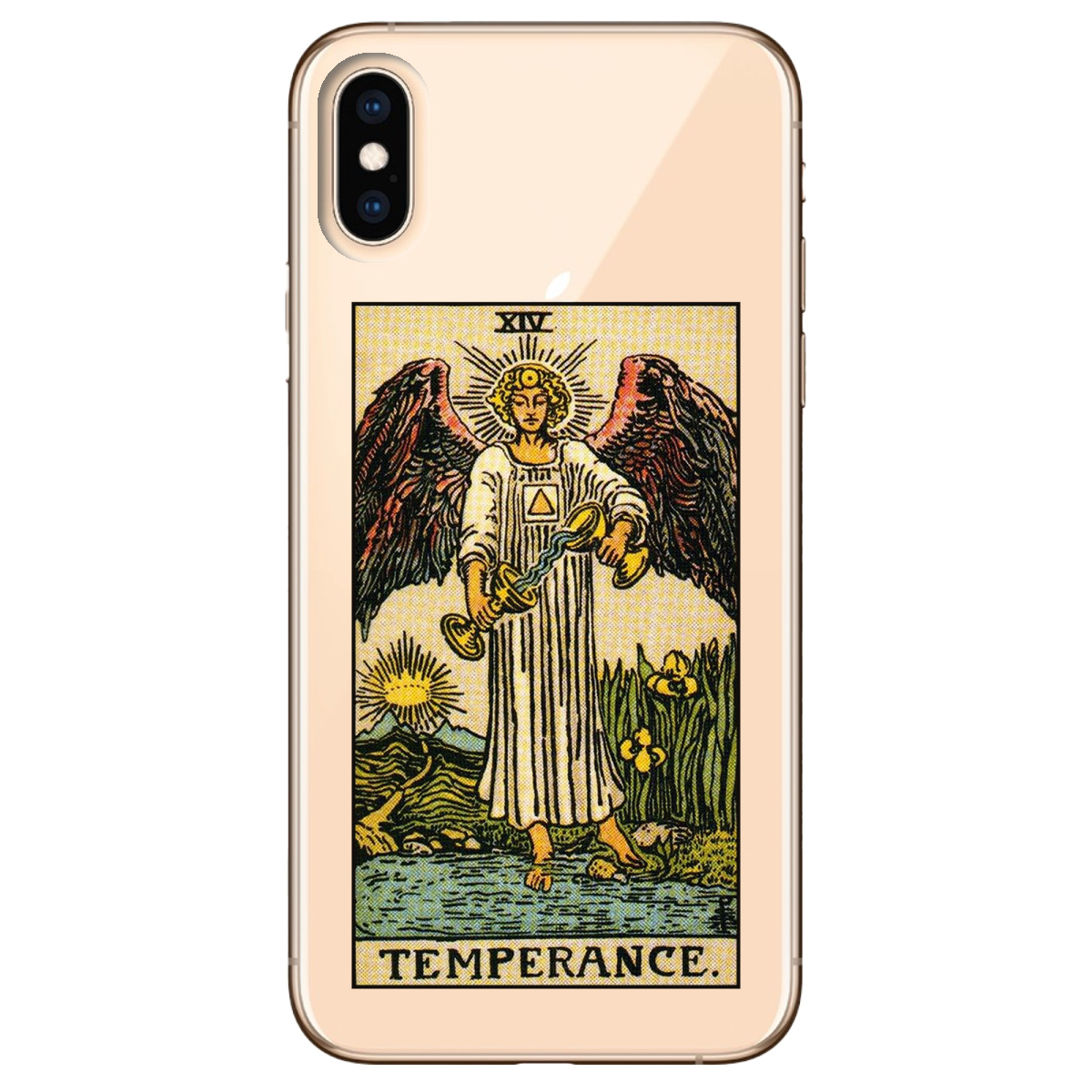 Чехол для Apple iPhone X Temperance - фото 1 - Чехлы для телефонов