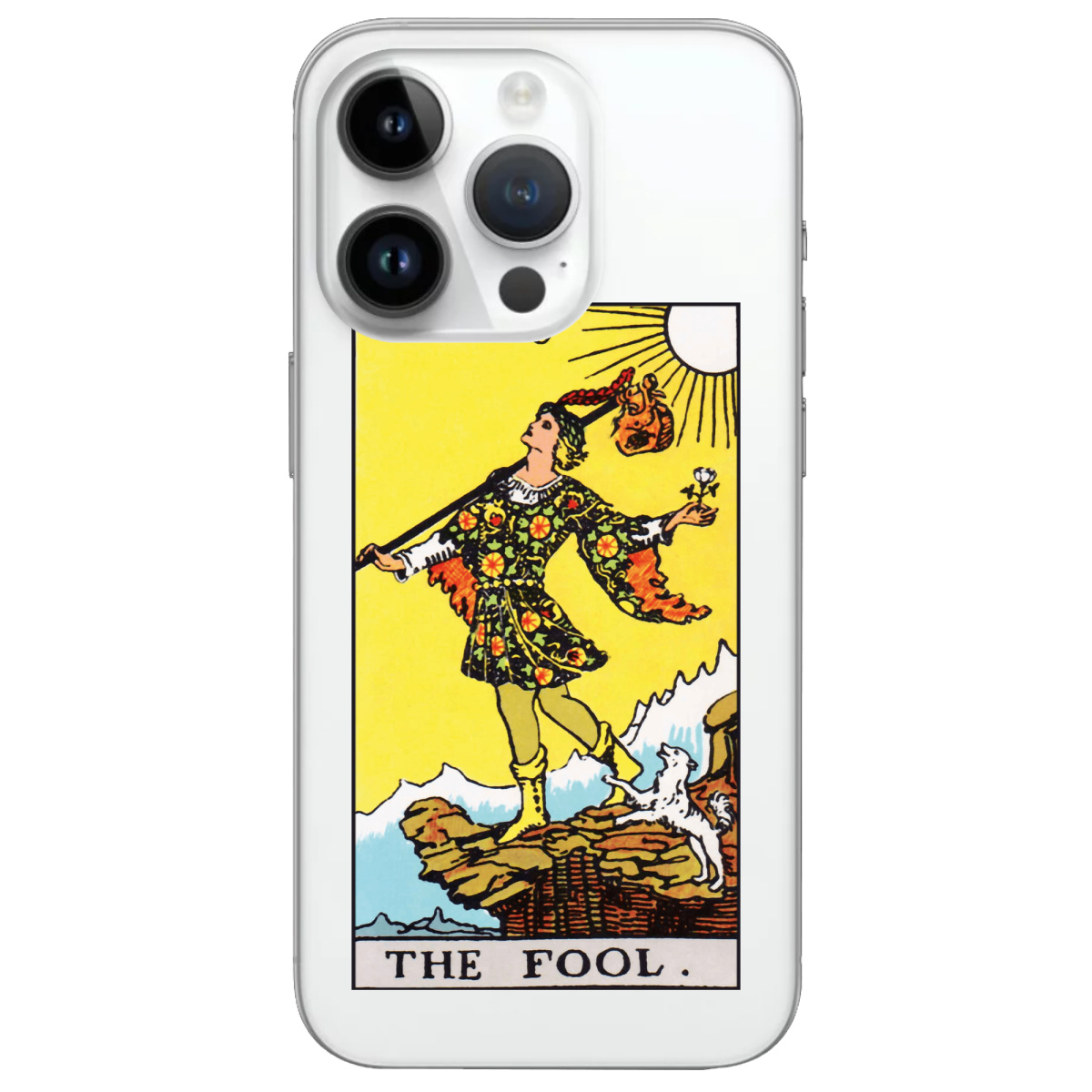 Чехол для Apple iPhone 14 Pro Max The Fool - фото 1 - Чехлы для телефонов