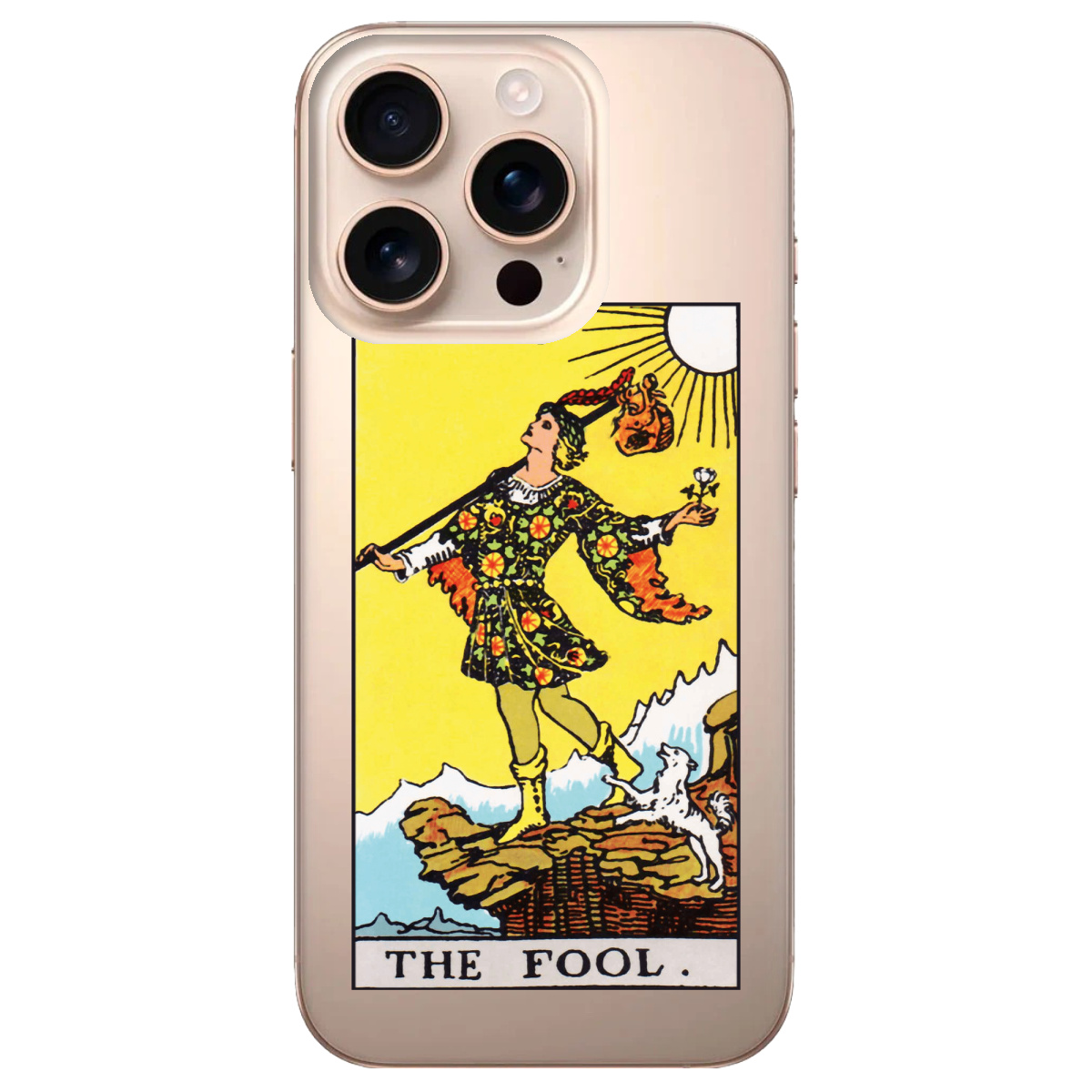 Чохол для Apple iPhone 16 Pro Max The Fool - фото 1 - Чохли для телефонів