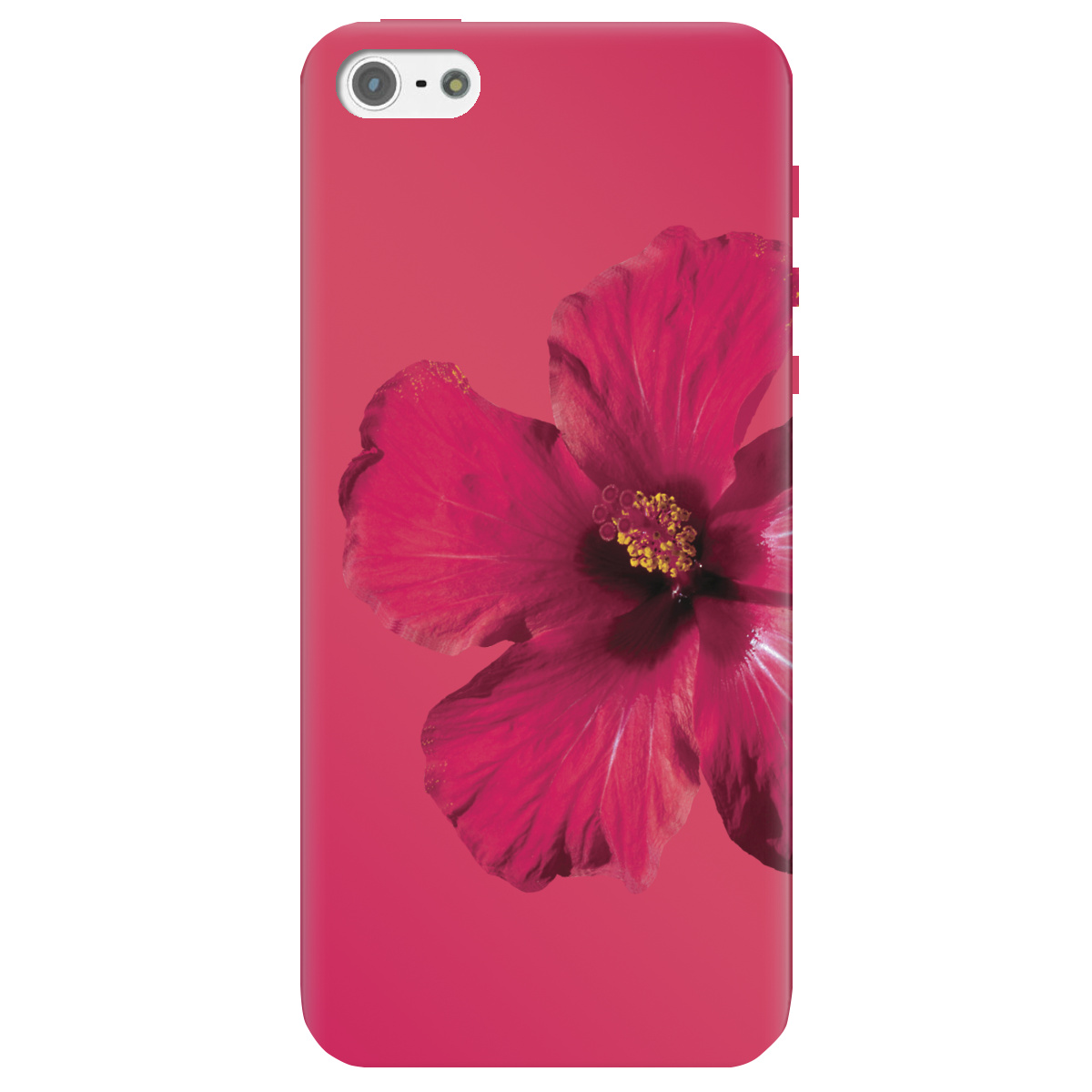 Чохол для Apple iPhone 5/5S Яскравий цвіт - фото 1 - Чохли для телефонів