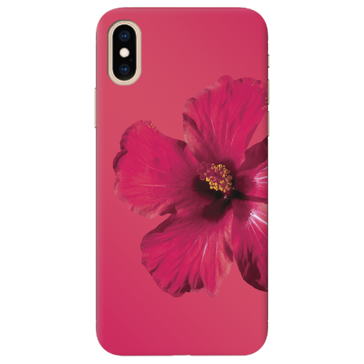 Чехол для Apple iPhone XS Яскравий цвіт - фото 1 - Чехлы для телефонов