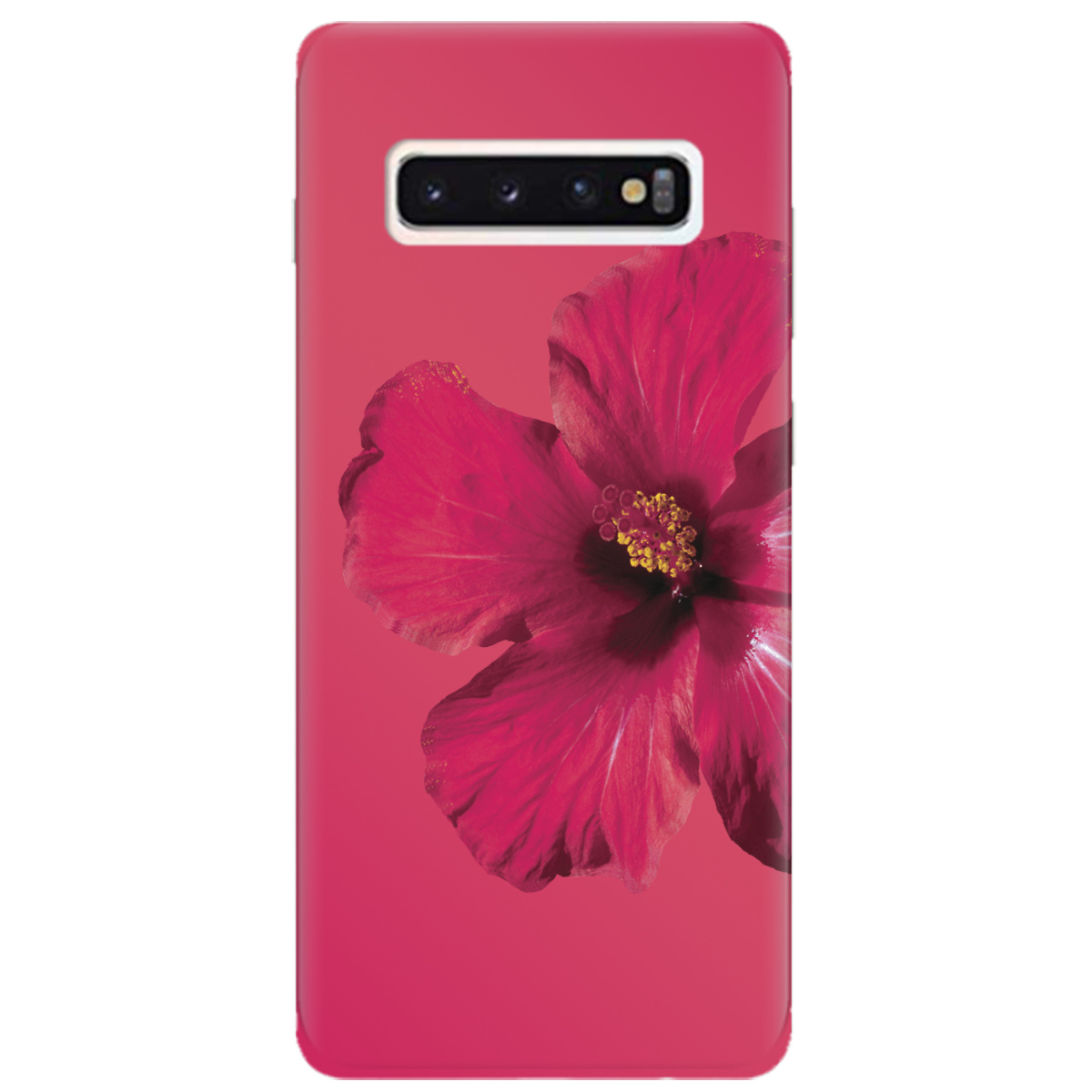 Чехол для Samsung Galaxy S10 Яскравий цвіт - фото 1 - Чехлы для телефонов