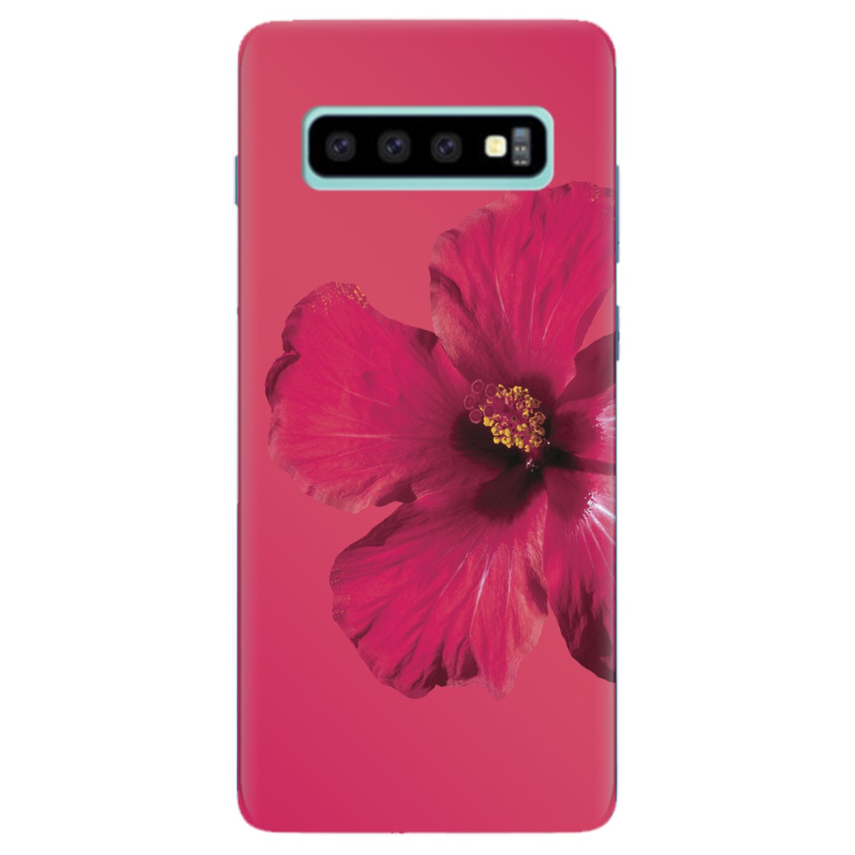 Чехол для Samsung Galaxy S10 Plus Яскравий цвіт - фото 1 - Чехлы для телефонов