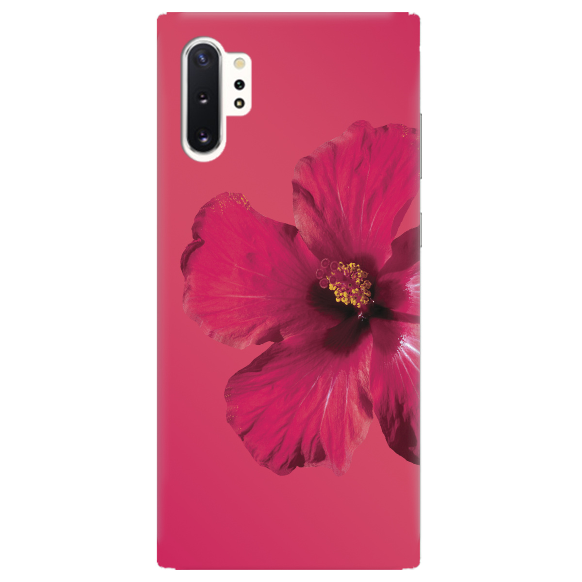 Чехол для Samsung Galaxy Note 10 Plus Яскравий цвіт - фото 1 - Чехлы для телефонов