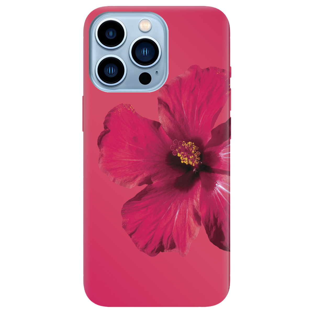 Чехол для Apple iPhone 13 Pro Max Яскравий цвіт - фото 1 - Чехлы для телефонов