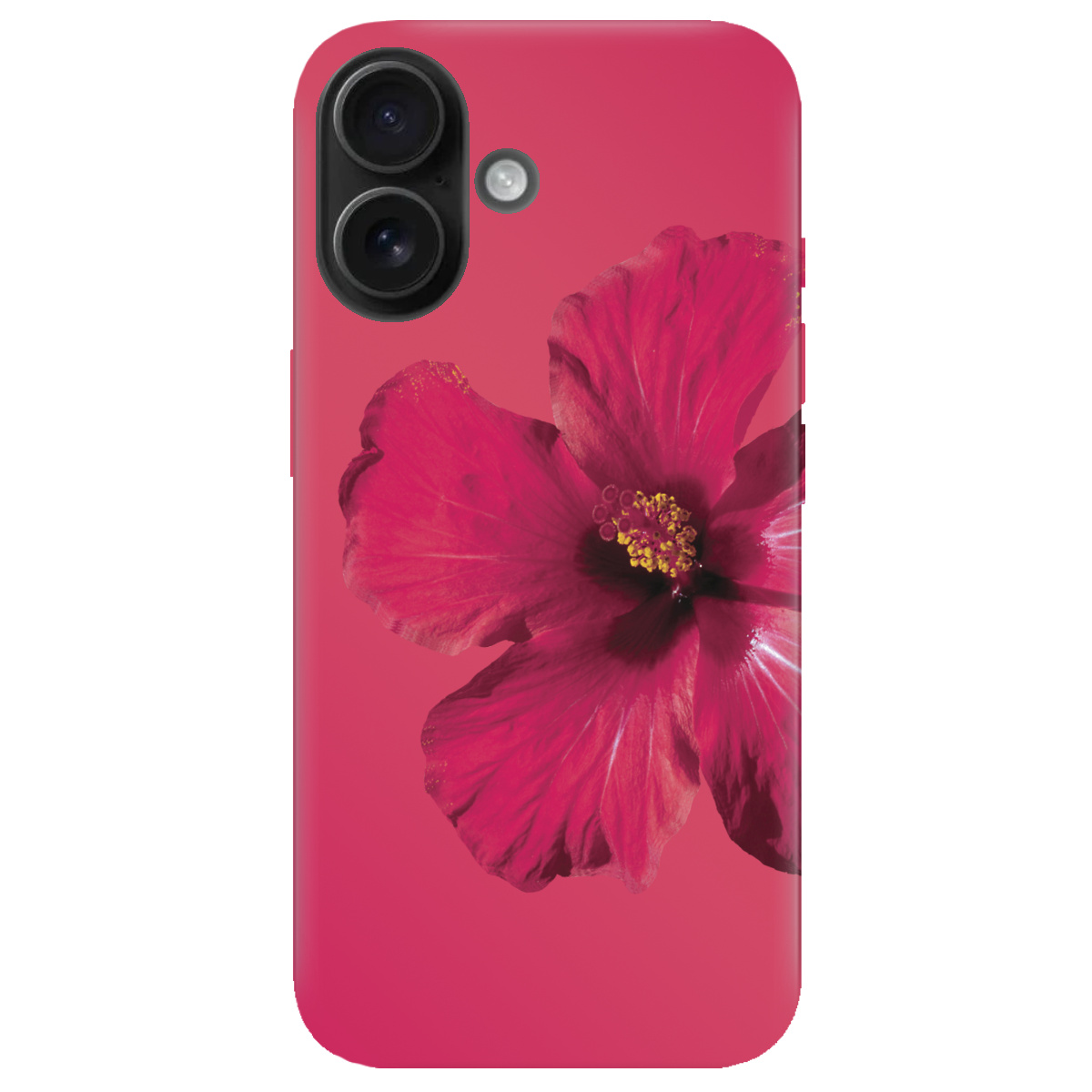 Чохол для Apple iPhone 16 Яскравий цвіт - фото 1 - Чохли для телефонів