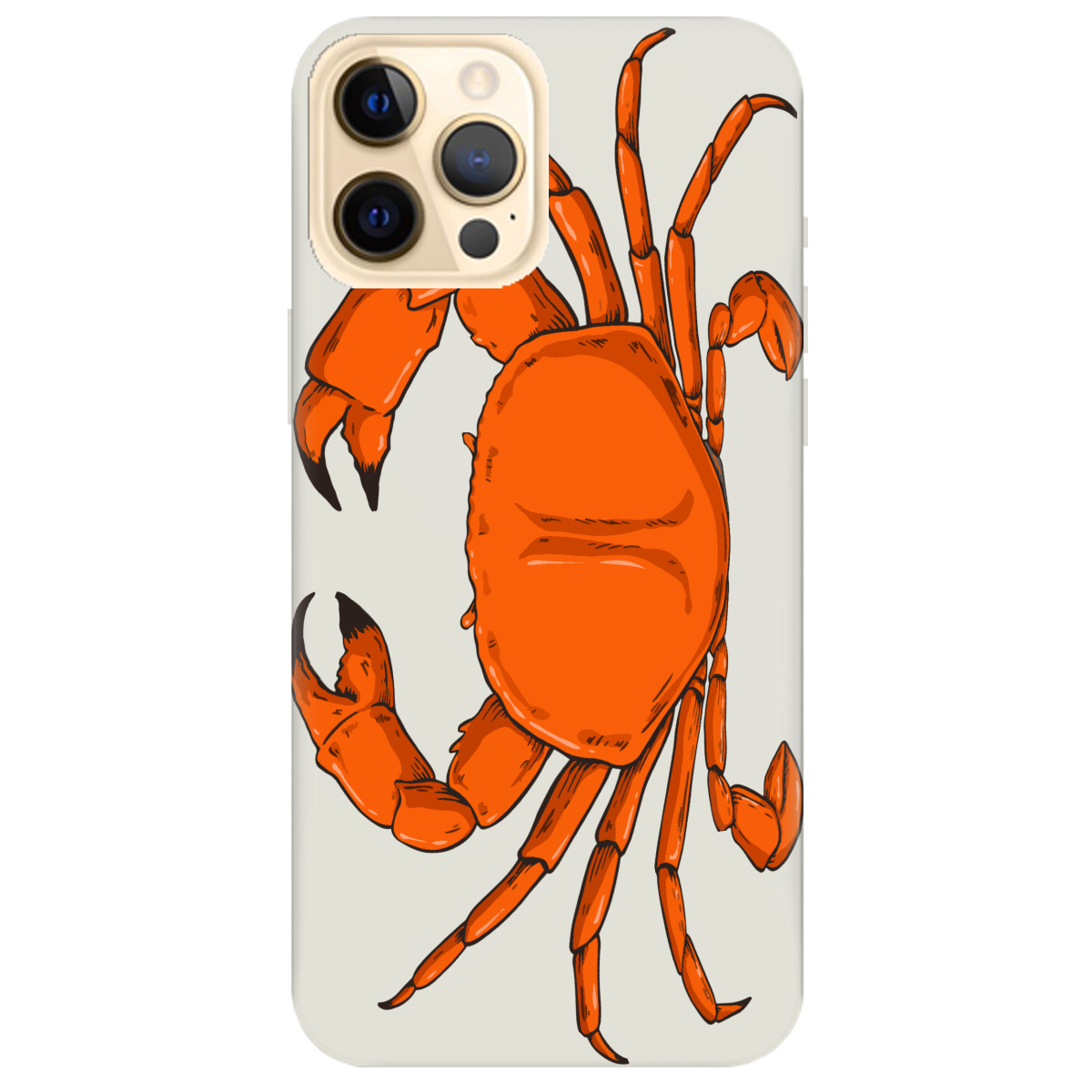 Чохол для Apple iPhone 12 Pro напівпрозорий матовий soft touch Підводні клешні - фото 1 - Чохли для телефонів