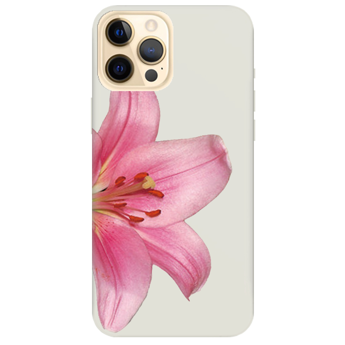 Чохол для Apple iPhone 12 Pro напівпрозорий матовий soft touch Магія квітки - фото 1 - Чохли для телефонів