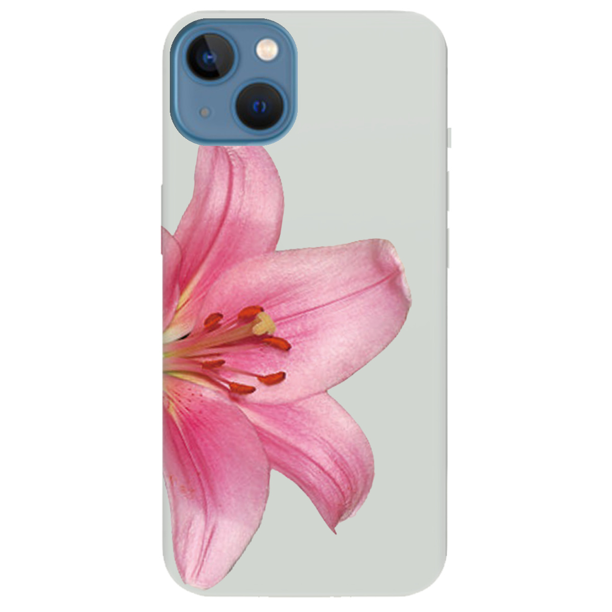 Чехол для Apple iPhone 13 полупрозрачный матовый soft touch Магия цветка - фото 1 - Чехлы для телефонов