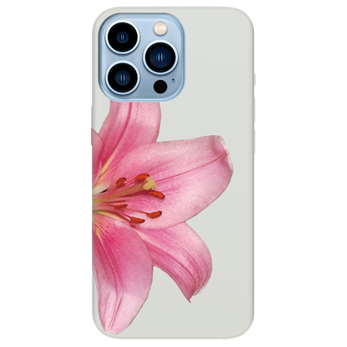 Чехол для Apple iPhone 13 Pro Max полупрозрачный матовый soft touch Магия цветка - фото 1 - Чехлы для телефонов