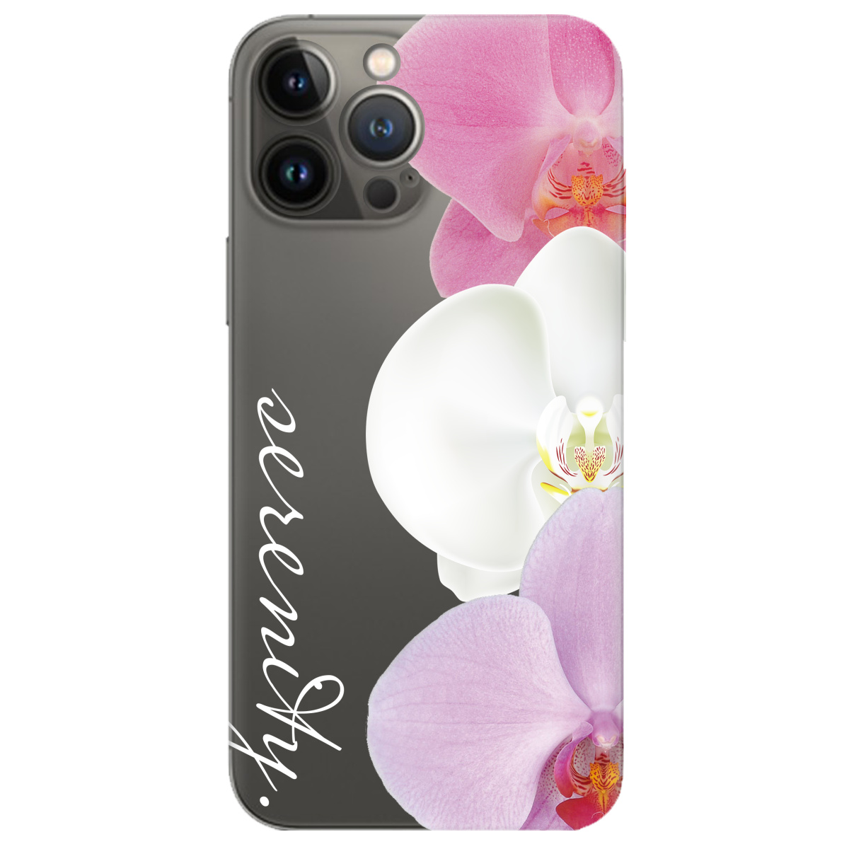 Чехол для Apple iPhone 13 Pro прозрачный Беззаботность - фото 1 - Чехлы для телефонов