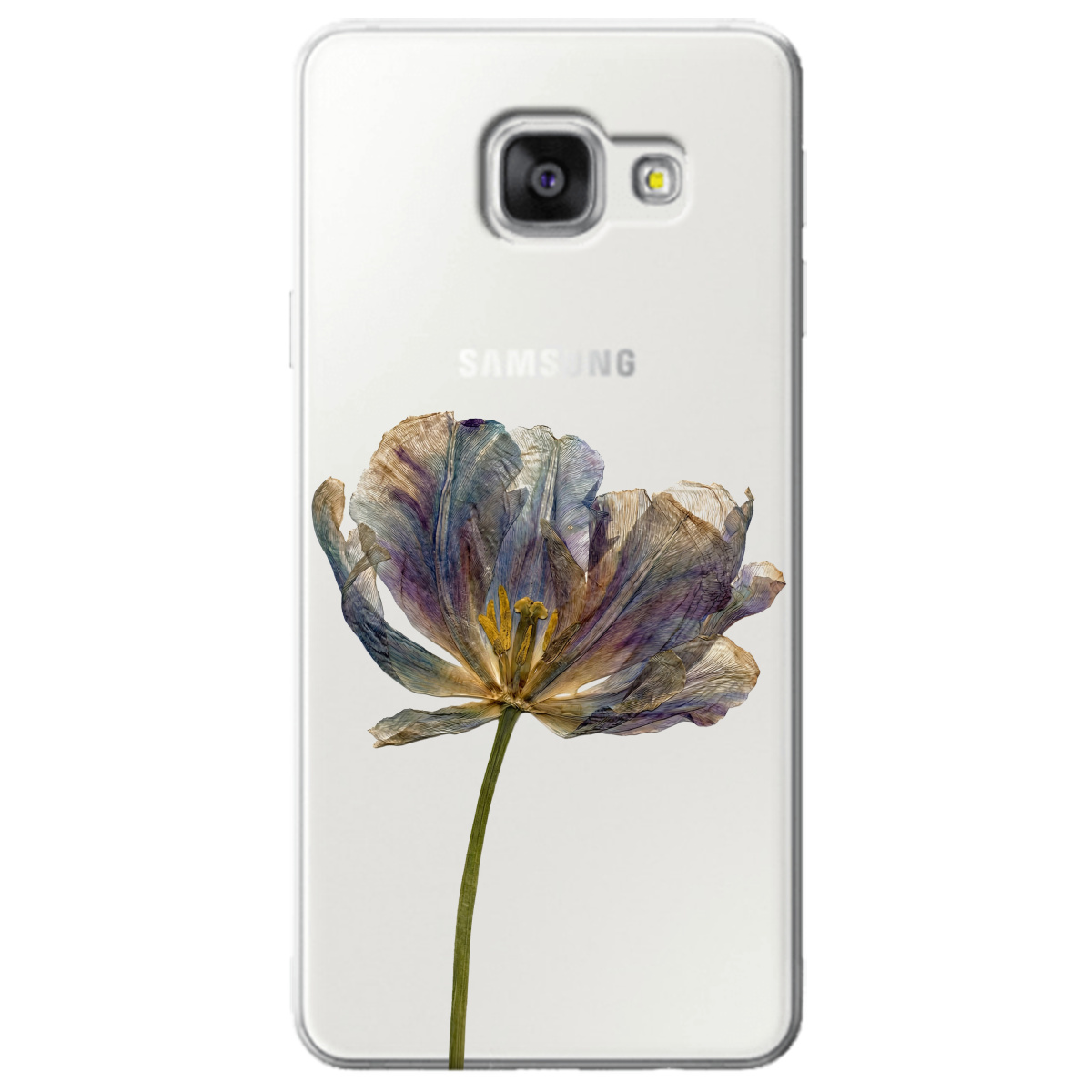 Чохол для Samsung Galaxy A3 2016 прозорий Ніжний сухоцвіт - фото 1 - Чохли для телефонів