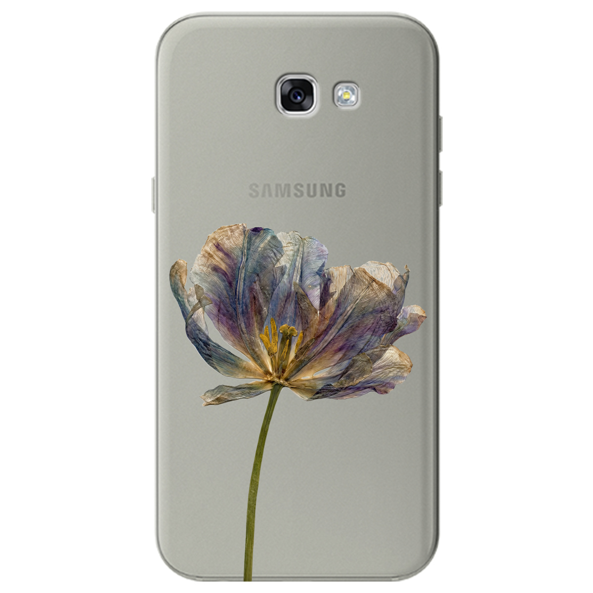 Чехол для Samsung Galaxy A7 2017 прозрачный Нежный сухоцвет - фото 1 - Чехлы для телефонов