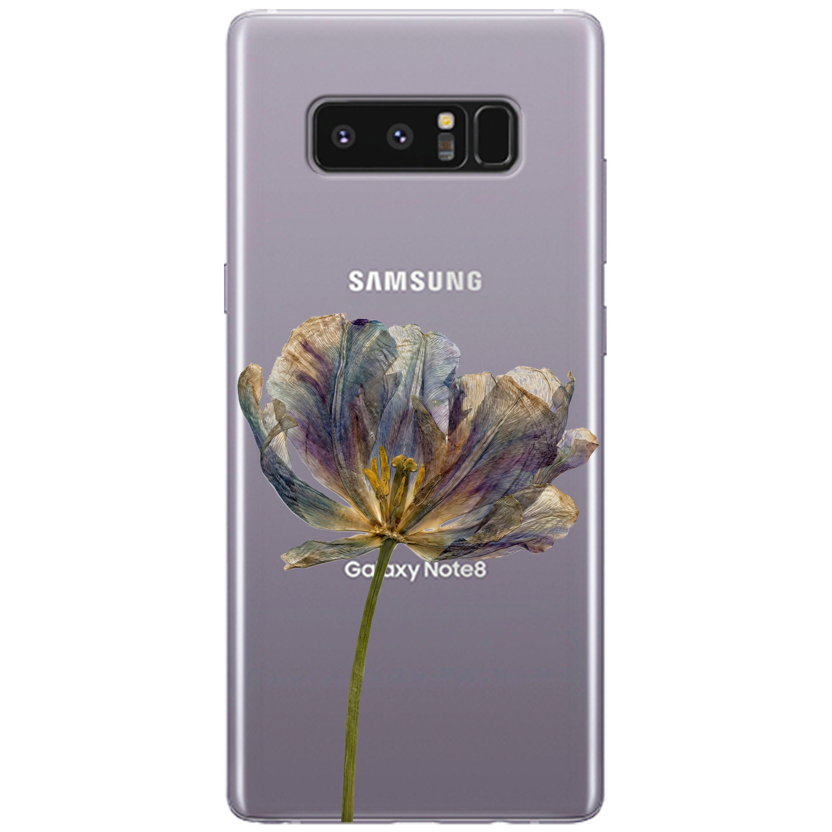 Чохол для Samsung Galaxy Note 8 прозорий Ніжний сухоцвіт - фото 1 - Чохли для телефонів
