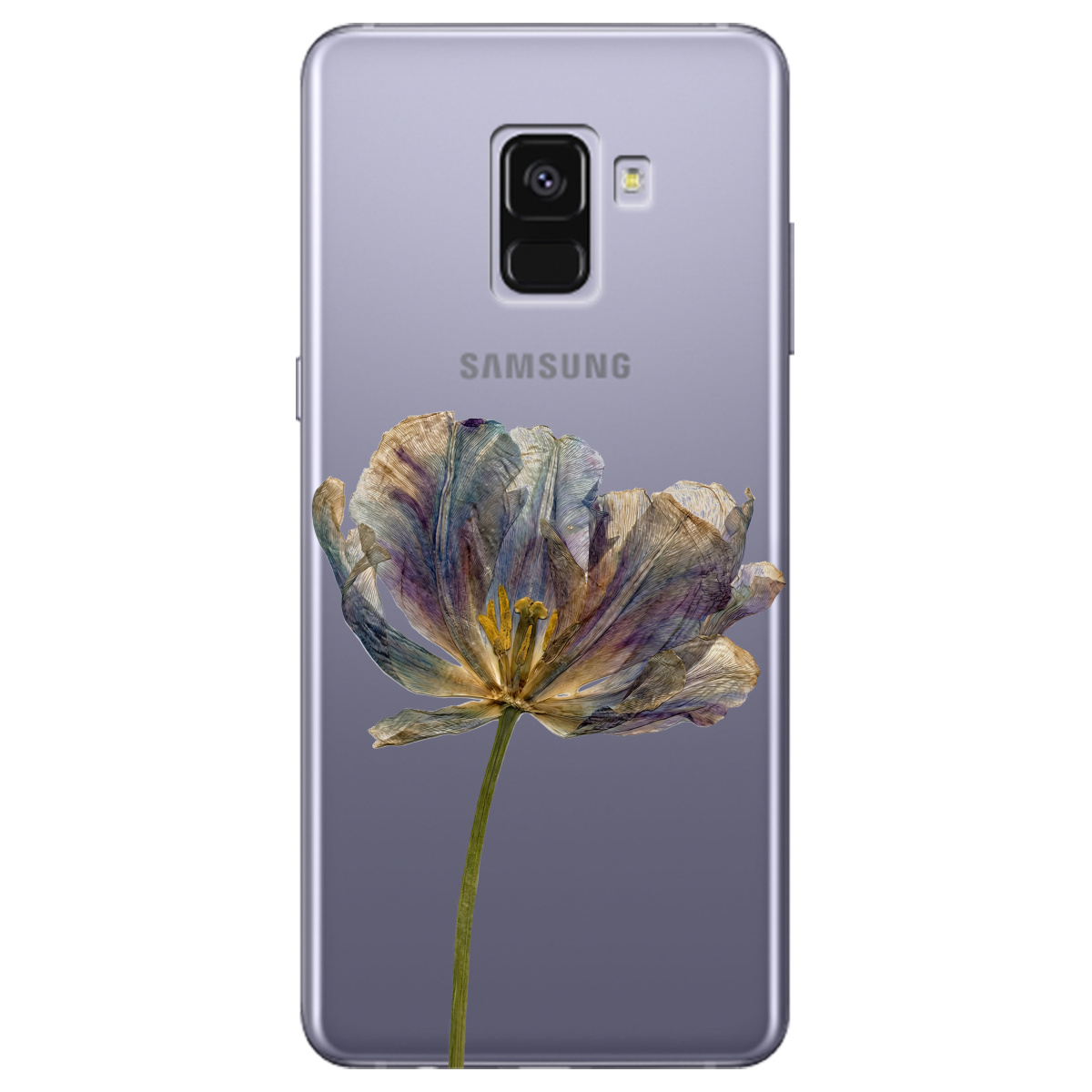 Чохол для Samsung Galaxy A8 2018 прозорий Ніжний сухоцвіт - фото 1 - Чохли для телефонів