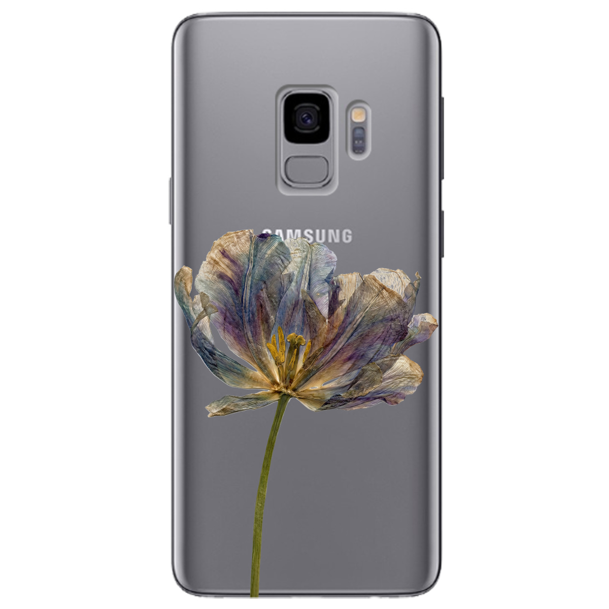 Чохол для Samsung Galaxy S9 прозорий Ніжний сухоцвіт - фото 1 - Чохли для телефонів