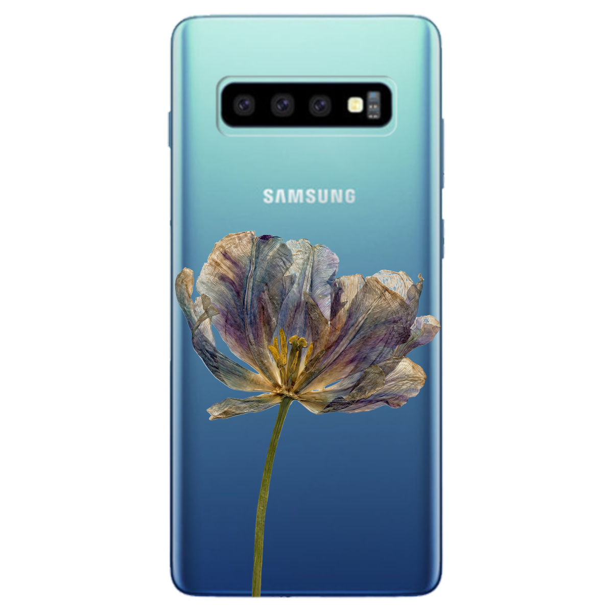 Чехол для Samsung Galaxy S10 Plus прозрачный Нежный сухоцвет - фото 1 - Чехлы для телефонов