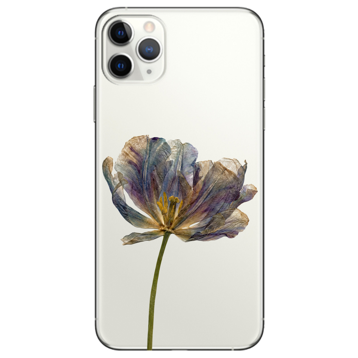 Чехол для Apple iPhone 11 Pro Max прозрачный Нежный сухоцвет - фото 1 - Чехлы для телефонов