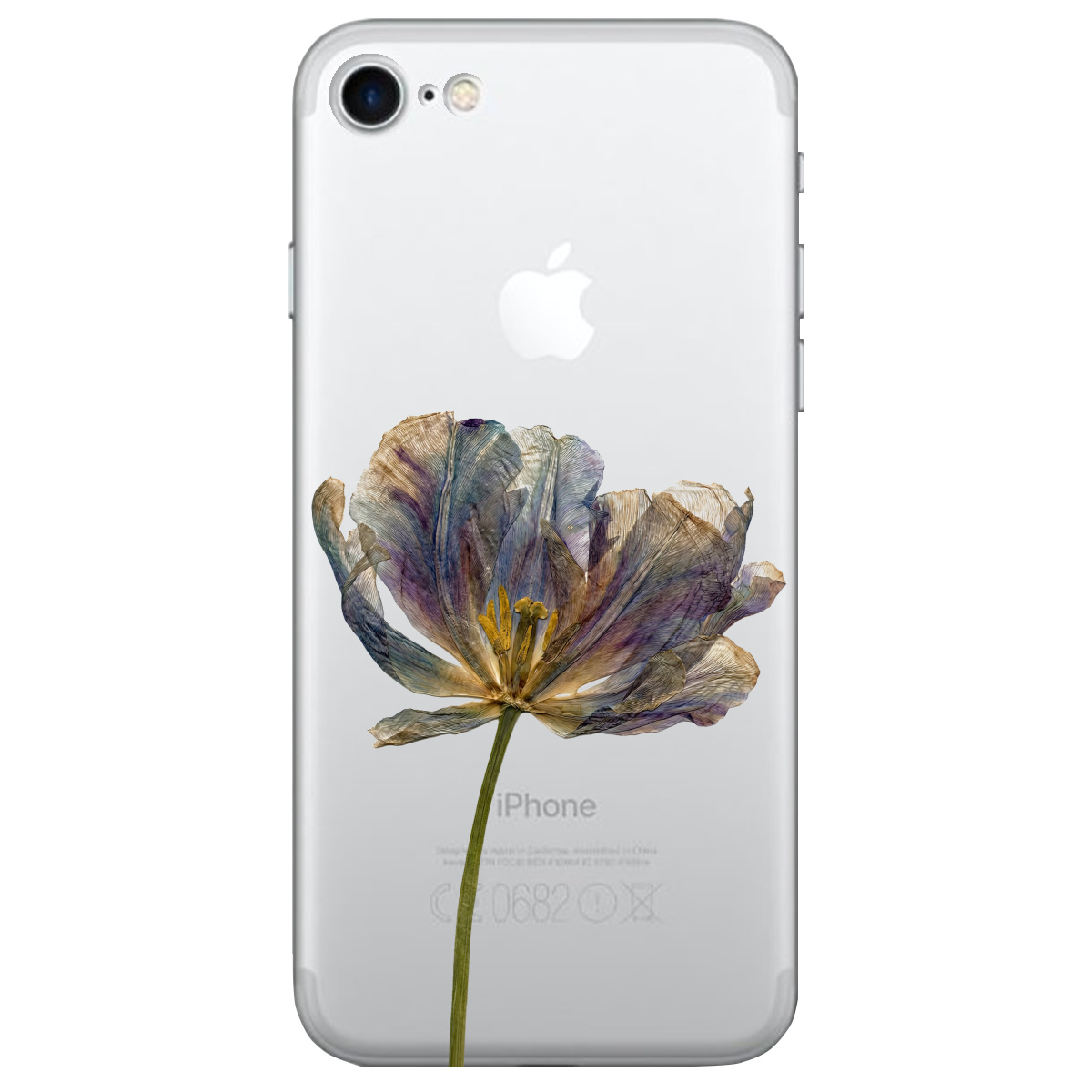 Чохол для Apple iPhone SE 2020 прозорий Ніжний сухоцвіт - фото 1 - Чохли для телефонів