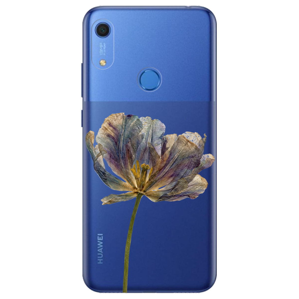 Чохол для Huawei Y6s прозорий Ніжний сухоцвіт - фото 1 - Чохли для телефонів