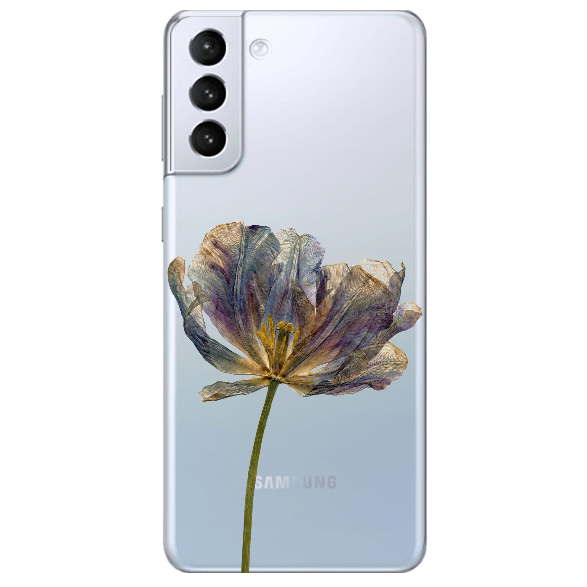 Чохол для Samsung Galaxy S21 Plus прозорий Ніжний сухоцвіт - фото 1 - Чохли для телефонів