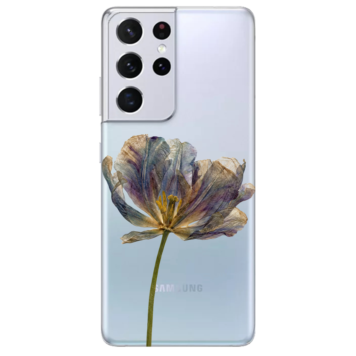 Чохол для Samsung Galaxy S21 Ultra прозорий Ніжний сухоцвіт - фото 1 - Чохли для телефонів