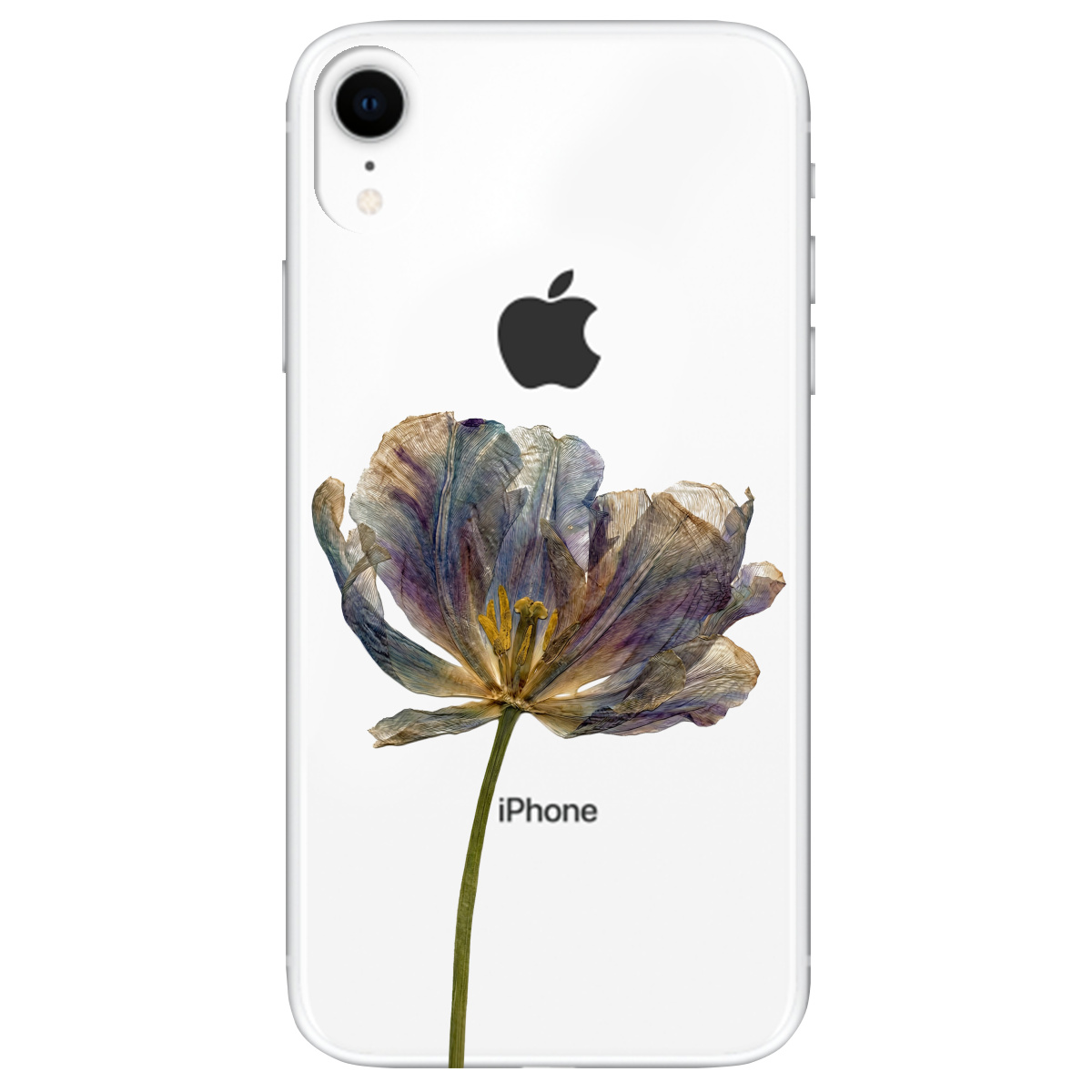 Чехол для Apple iPhone XR прозрачный Нежный сухоцвет - фото 1 - Чехлы для телефонов