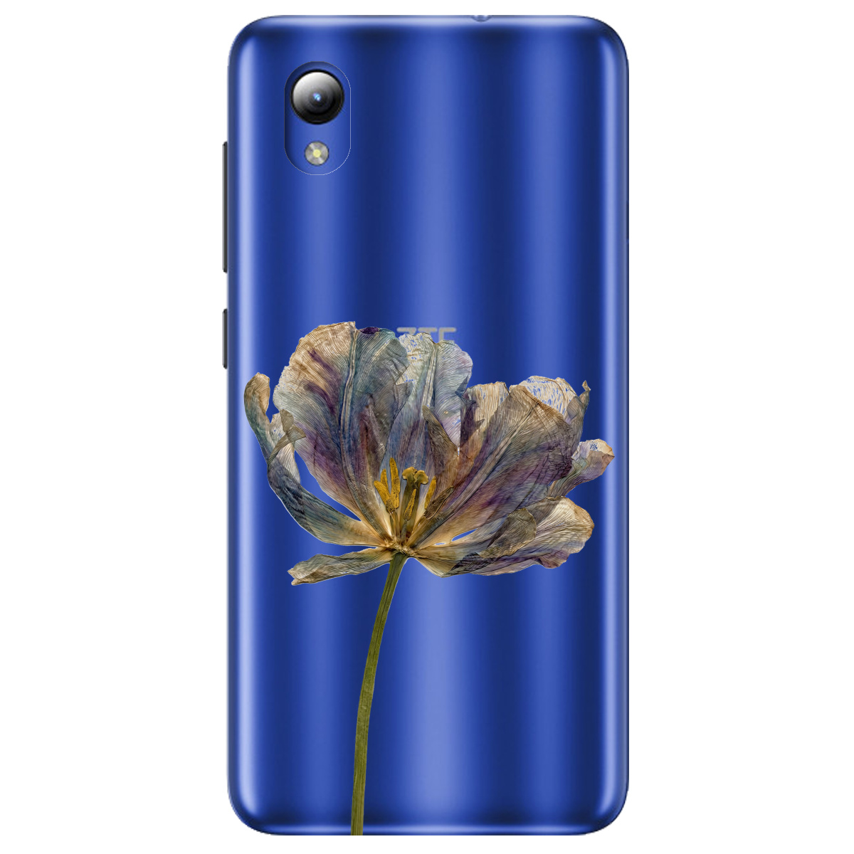 Чохол для ZTE Blade A3 2019 прозорий Ніжний сухоцвіт - фото 1 - Чохли для телефонів