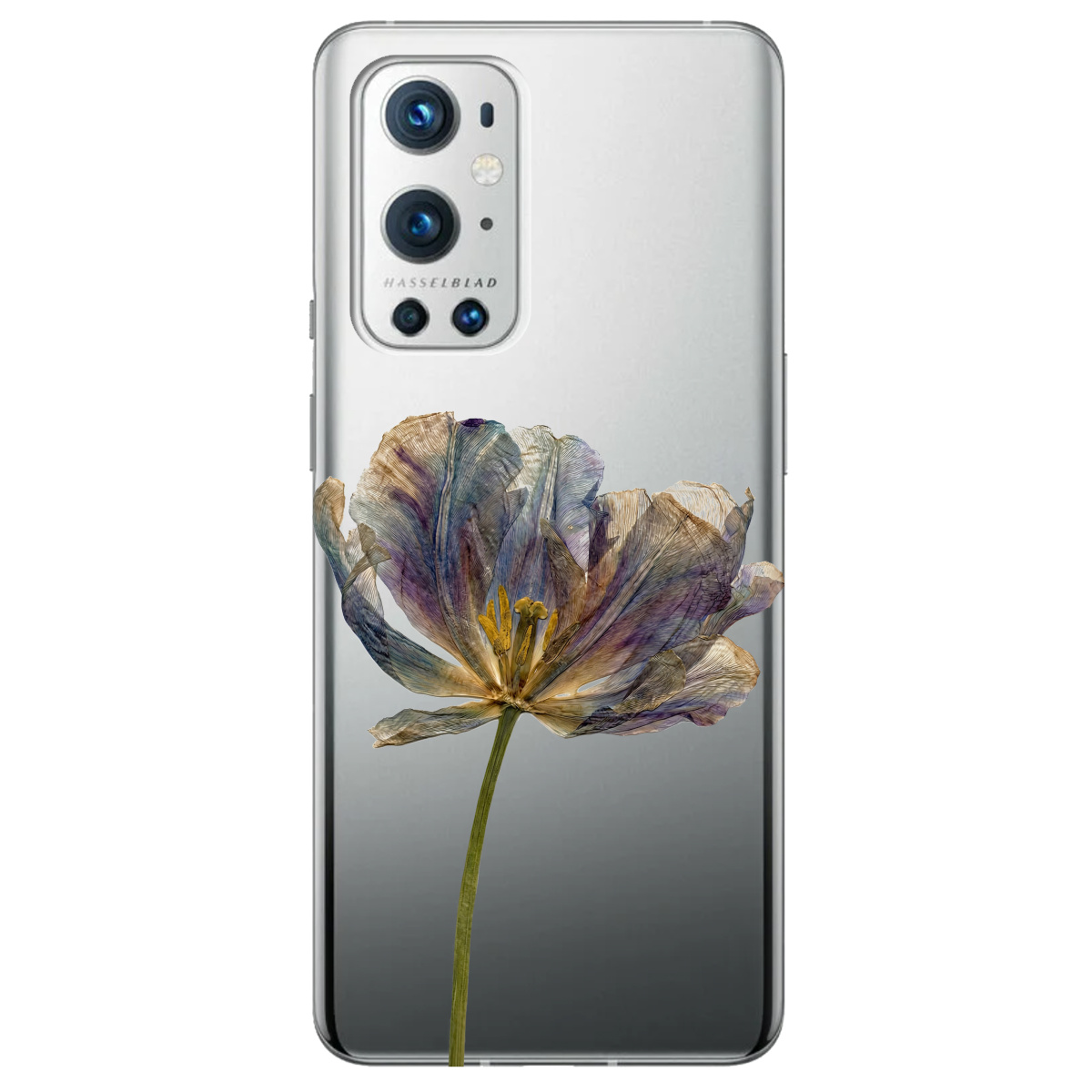 Чехол для OnePlus 9 Pro прозрачный Нежный сухоцвет - фото 1 - Чехлы для телефонов