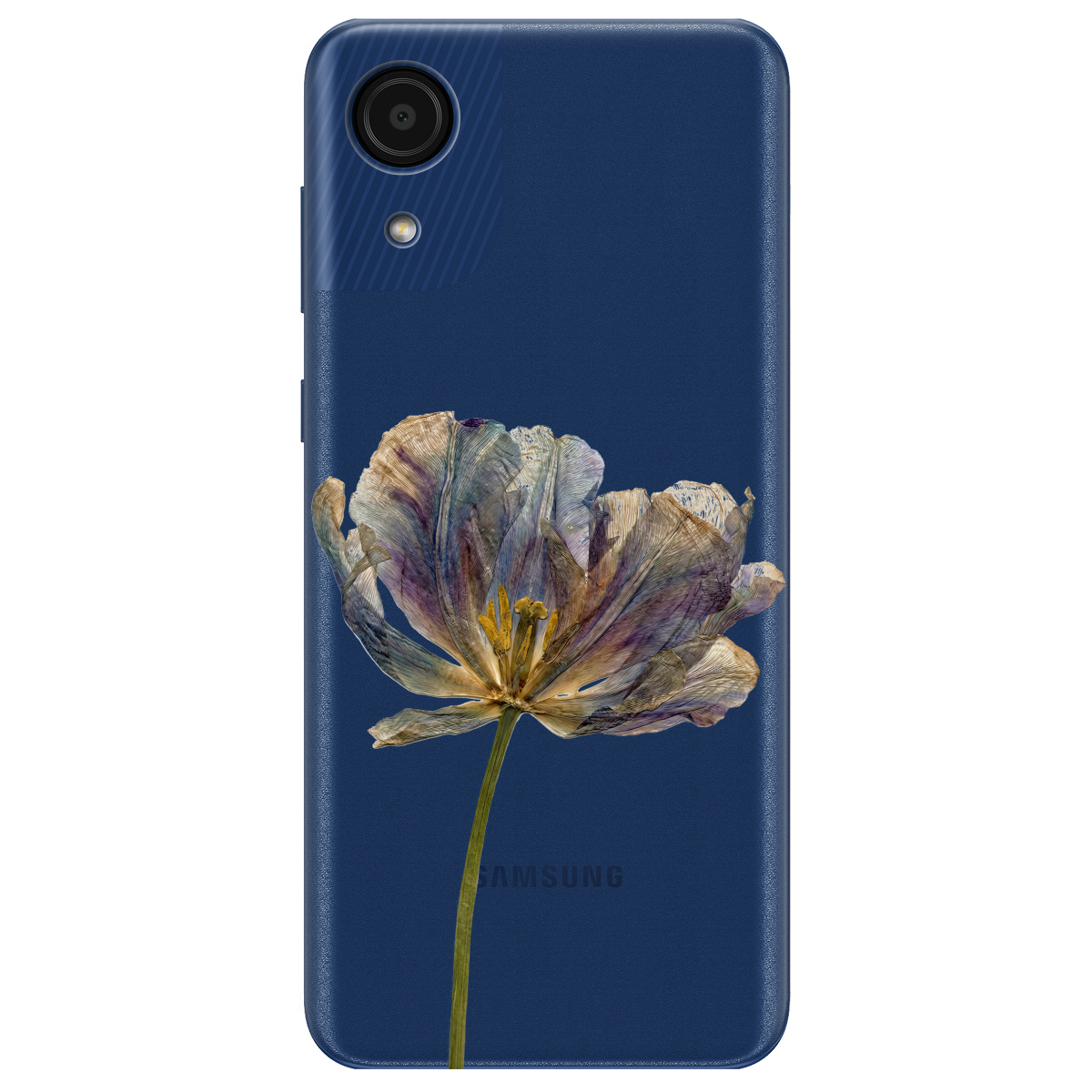 Чохол для Samsung Galaxy А03 Core прозорий Ніжний сухоцвіт - фото 1 - Чохли для телефонів