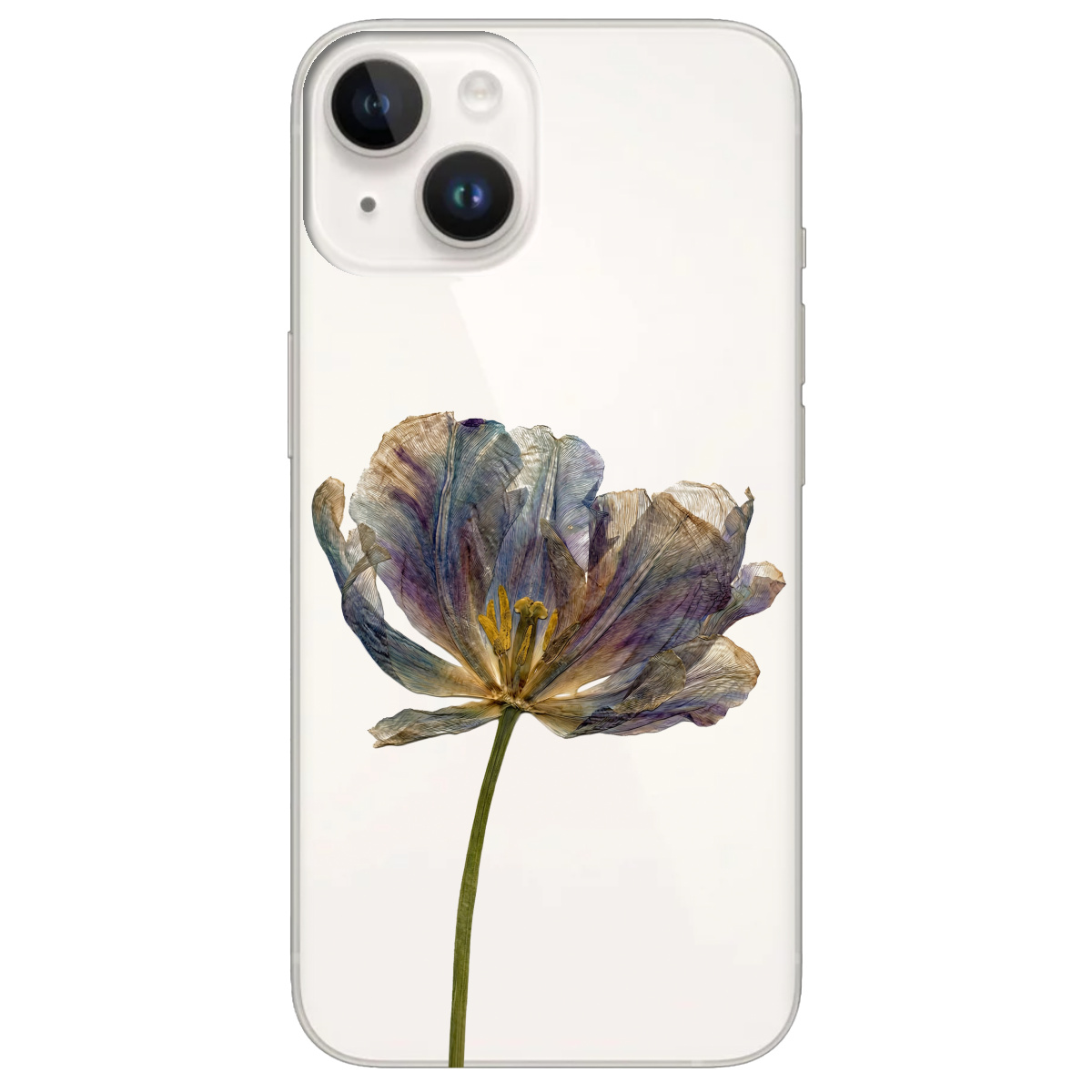 Чехол для Apple iPhone 14 Plus прозрачный Нежный сухоцвет - фото 1 - Чехлы для телефонов