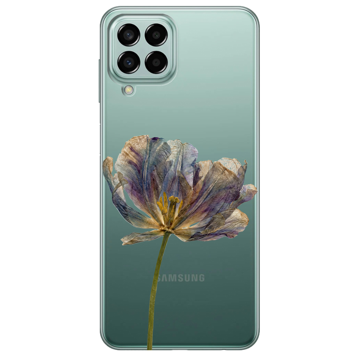 Чохол для Samsung Galaxy M33 5G прозорий Ніжний сухоцвіт - фото 1 - Чохли для телефонів