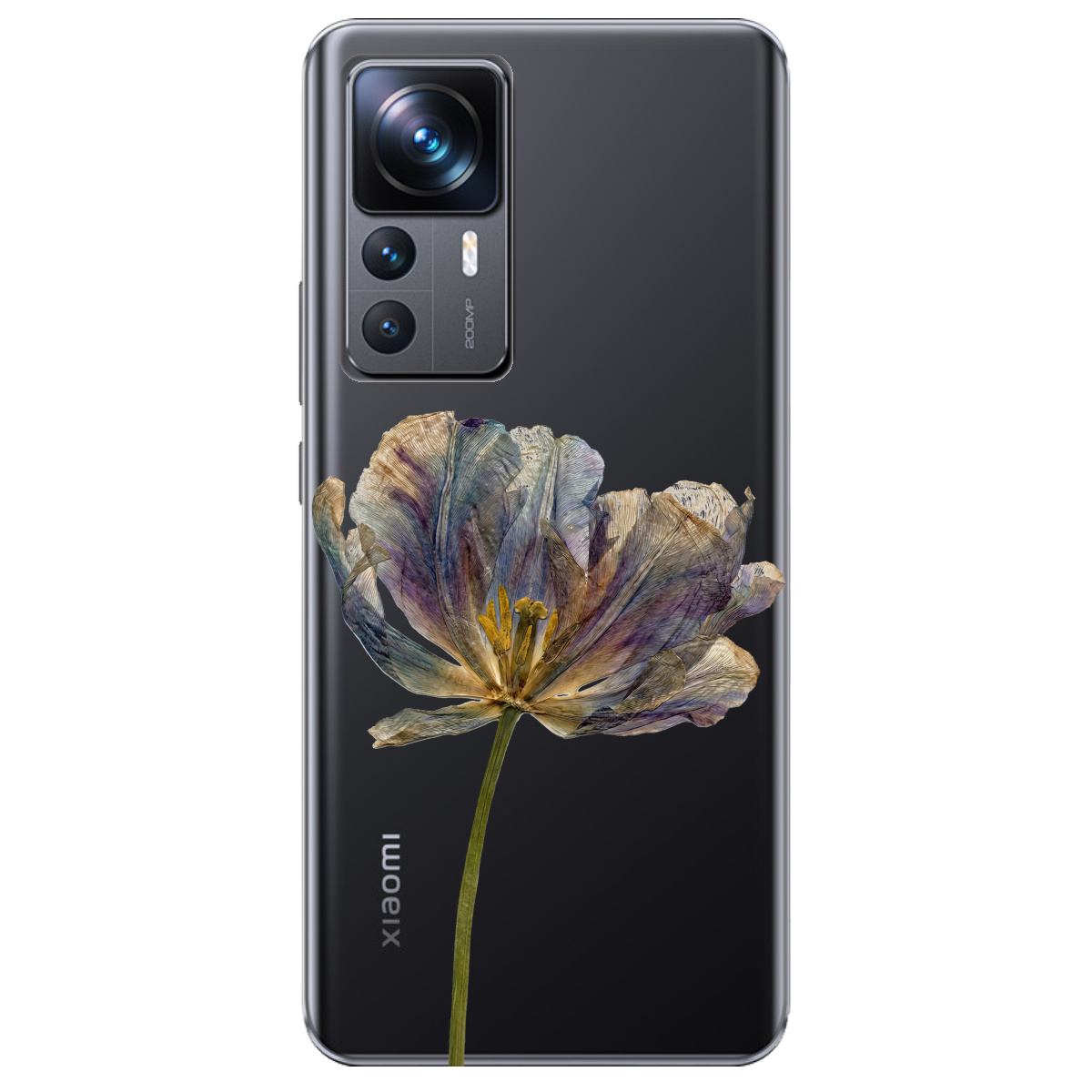 Чехол для Xiaomi 12T прозрачный Нежный сухоцвет - фото 1 - Чехлы для телефонов