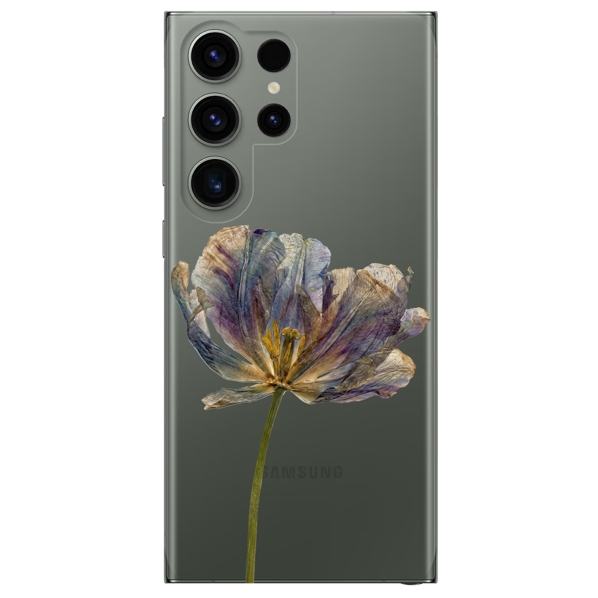 Чохол для Samsung Galaxy S23 Ultra прозорий Ніжний сухоцвіт - фото 1 - Чохли для телефонів