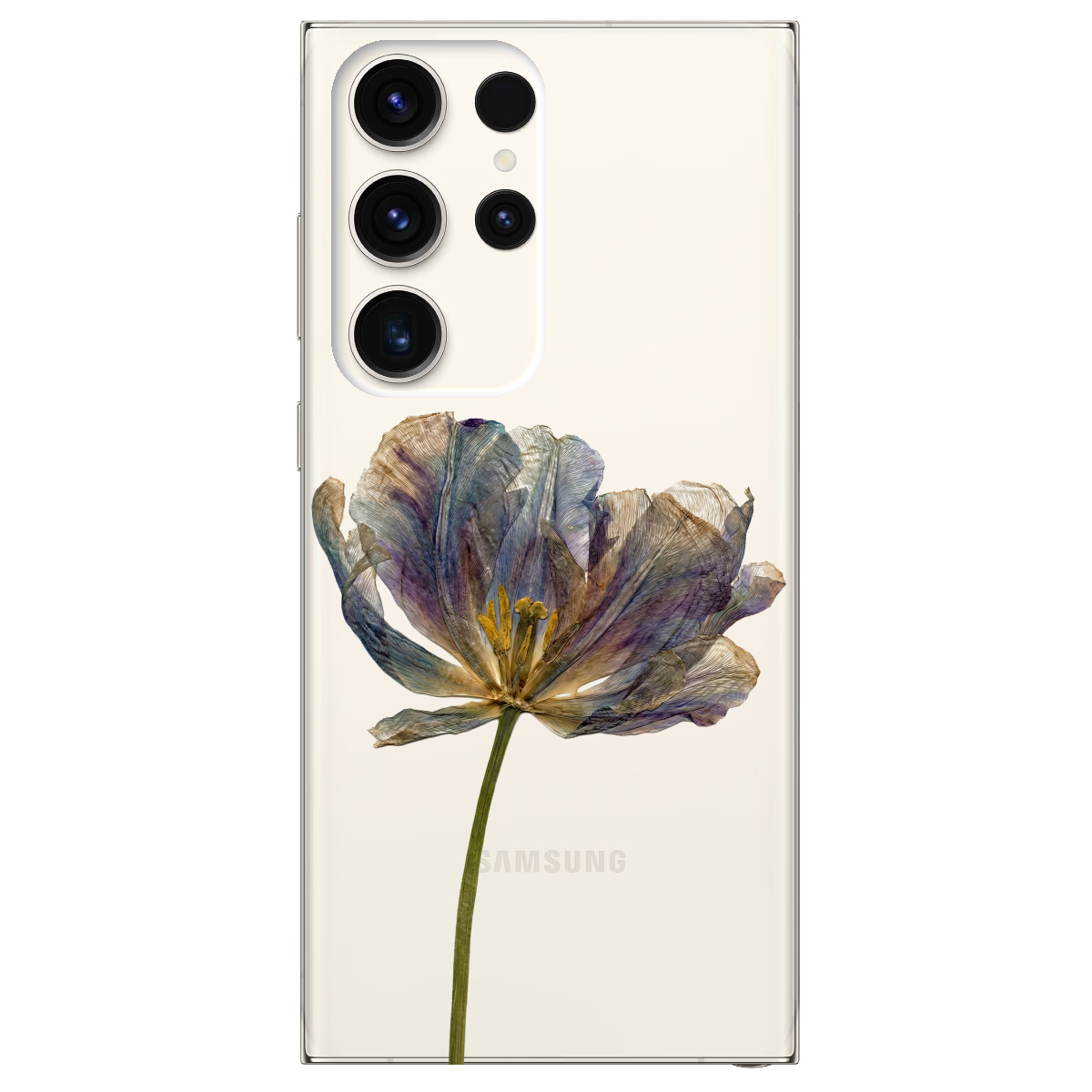 Чохол для Samsung Galaxy S24 Ultra прозорий Ніжний сухоцвіт - фото 1 - Чохли для телефонів