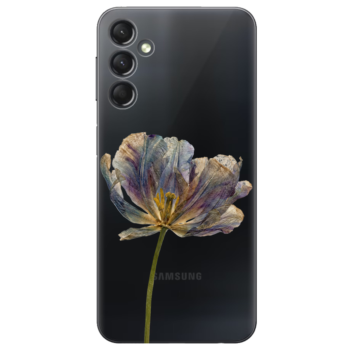 Чехол для Samsung Galaxy A25 прозрачный Нежный сухоцвет - фото 1 - Чехлы для телефонов