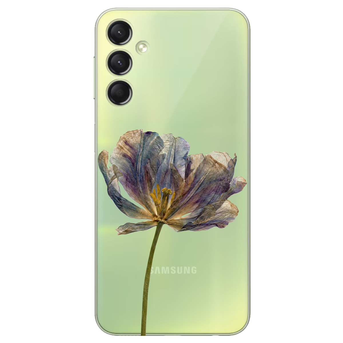 Чехол для Samsung Galaxy A24 4G прозрачный Нежный сухоцвет - фото 1 - Чехлы для телефонов