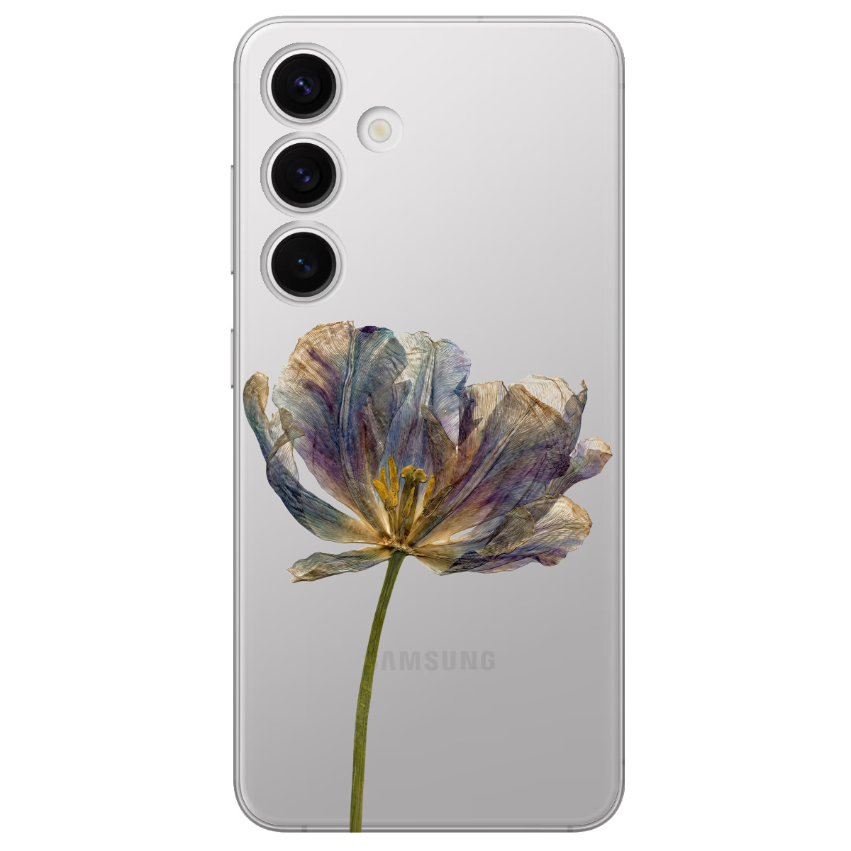 Чохол для Samsung Galaxy S25 прозорий Ніжний сухоцвіт - фото 1 - Чохли для телефонів