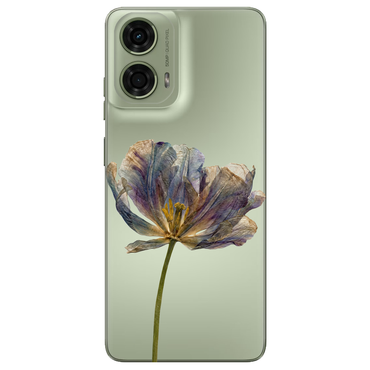 Чехол для Motorola G24 / G04 / E14 прозрачный Нежный сухоцвет - фото 1 - Чехлы для телефонов