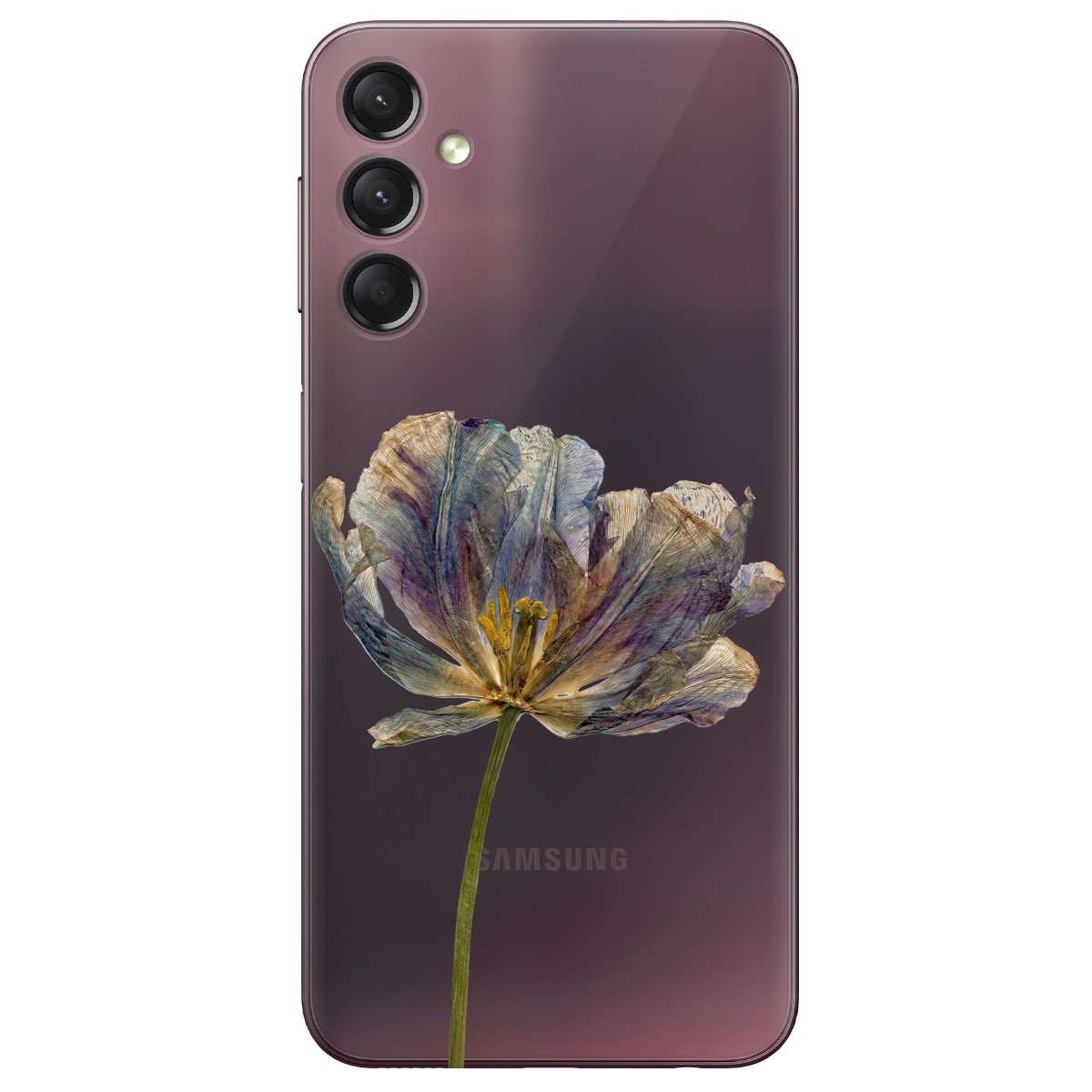 Чохол для Samsung Galaxy A05s прозорий Ніжний сухоцвіт - фото 1 - Чохли для телефонів