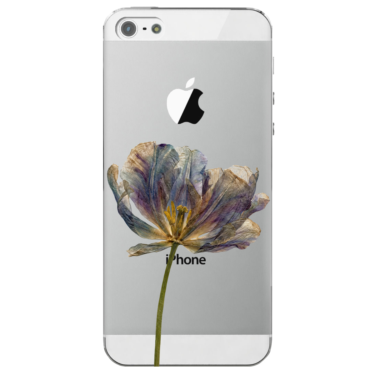 Чехол для Apple iPhone 5 / 5S прозрачный Нежный сухоцвет - фото 1 - Чехлы для телефонов