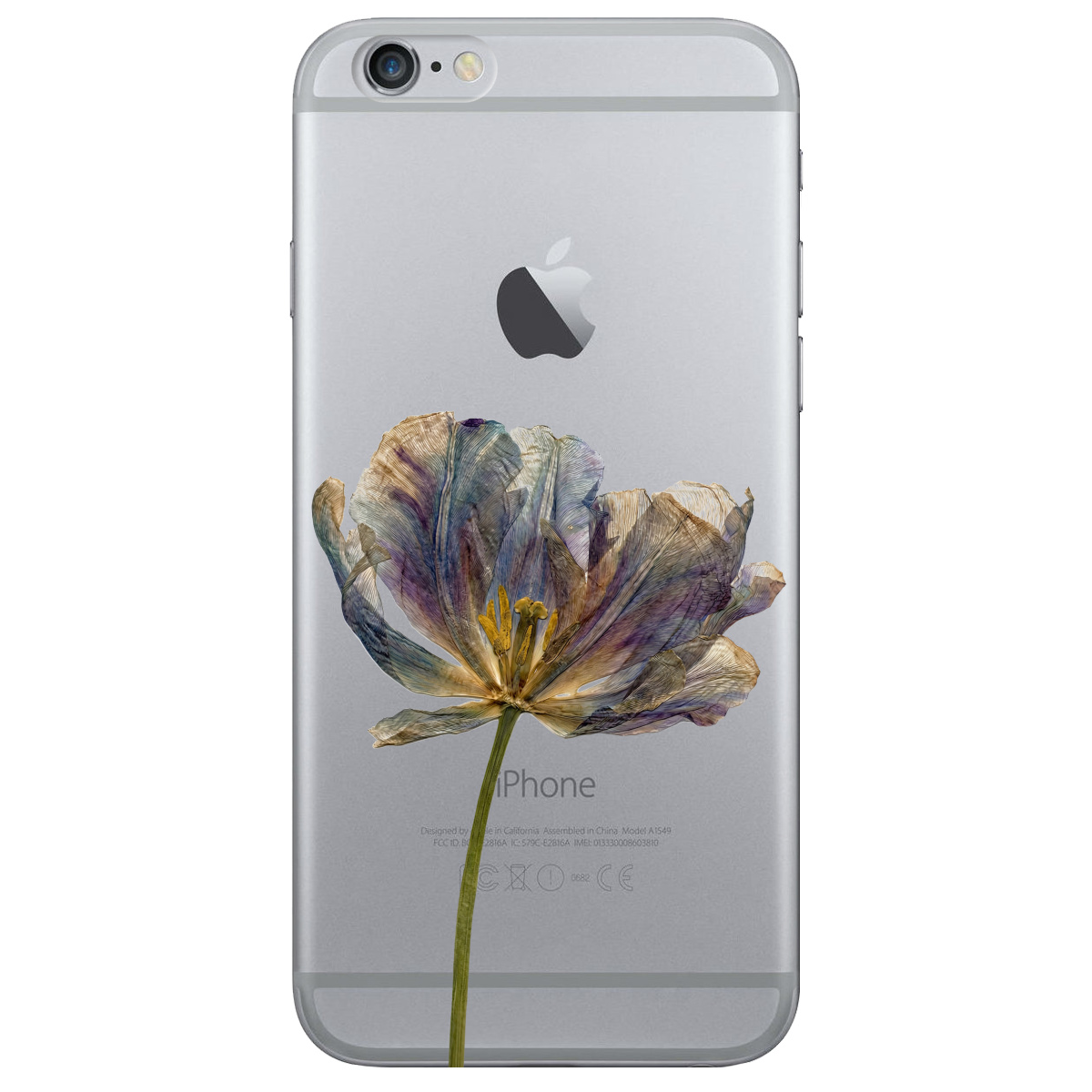 Чехол для Apple iPhone 6 Plus / 6S Plus прозрачный Нежный сухоцвет - фото 1 - Чехлы для телефонов