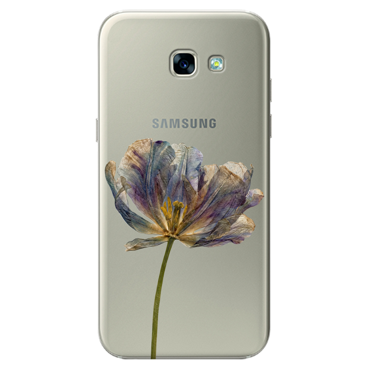 Чехол для Samsung Galaxy A5 2017 прозрачный Нежный сухоцвет - фото 1 - Чехлы для телефонов